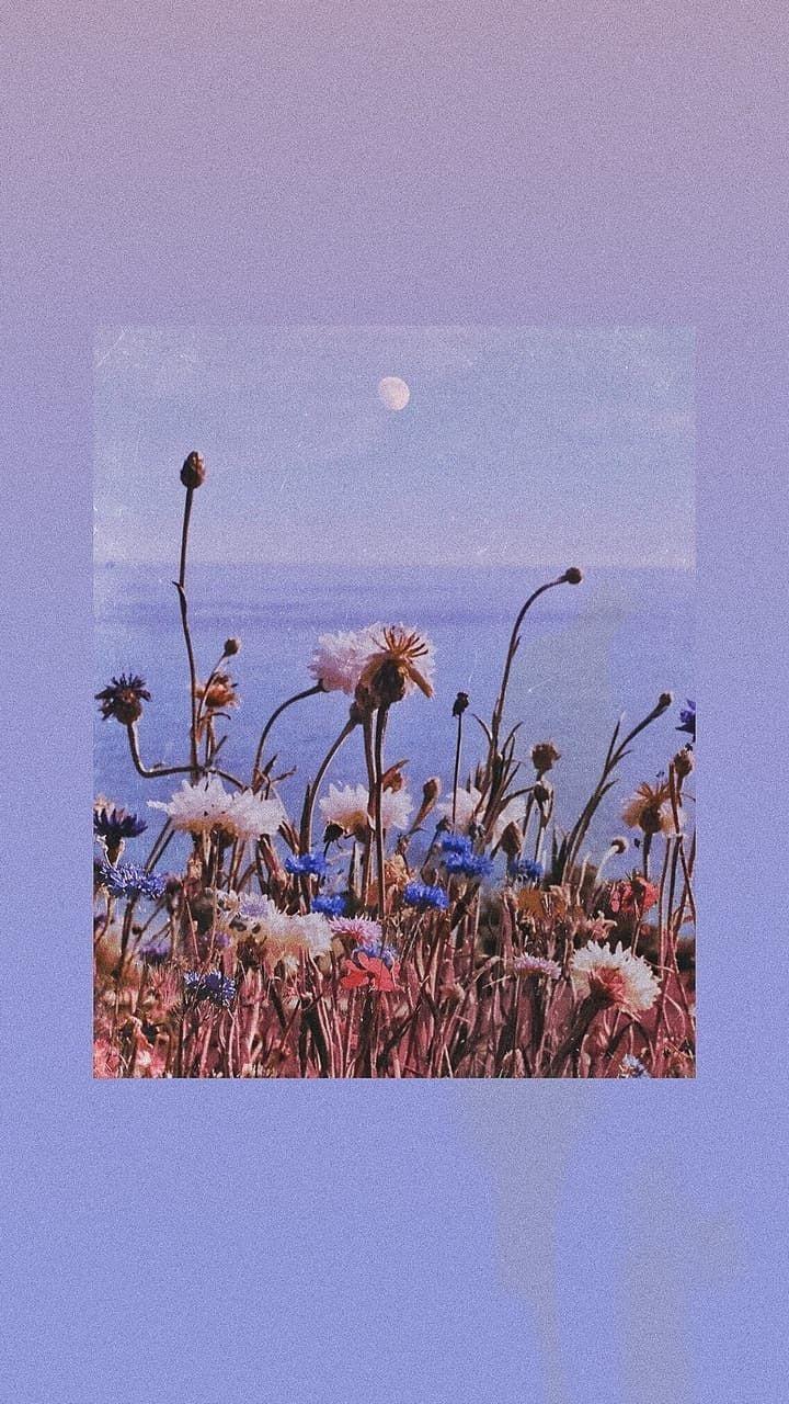 720x1280 Aesthetic Purple Flower Wallpaper .