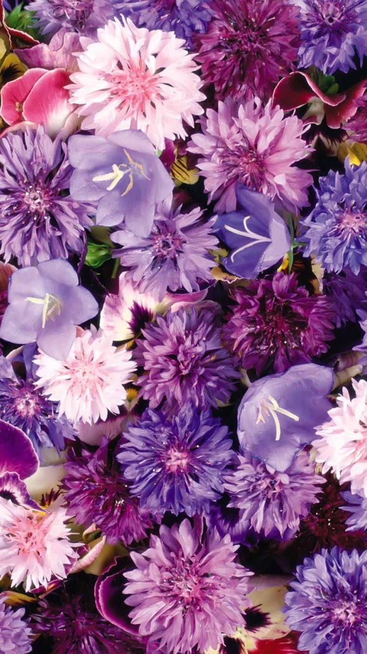 750x1334 Aesthetic Purple Flowers Background HD Wallpaper