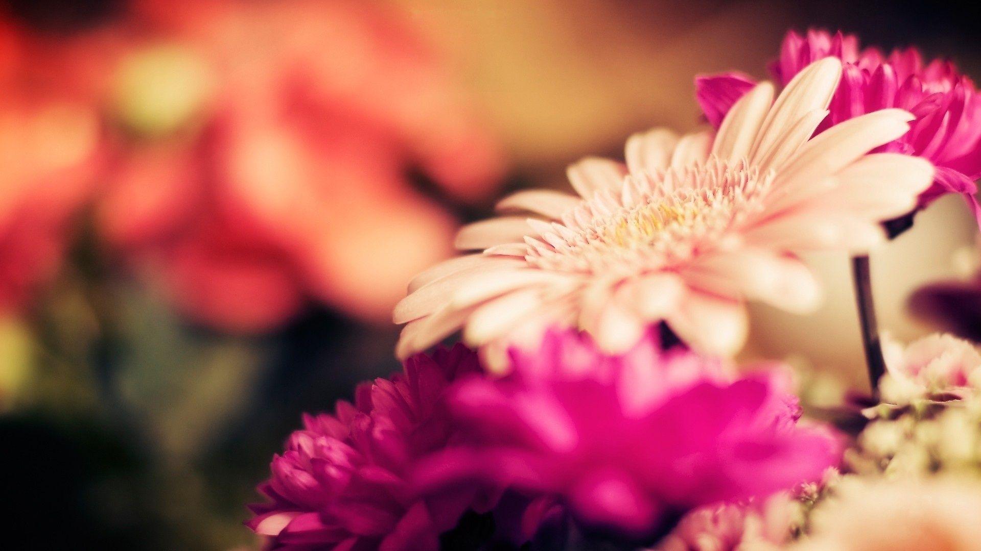 1920x1080 Bright Flowers HD