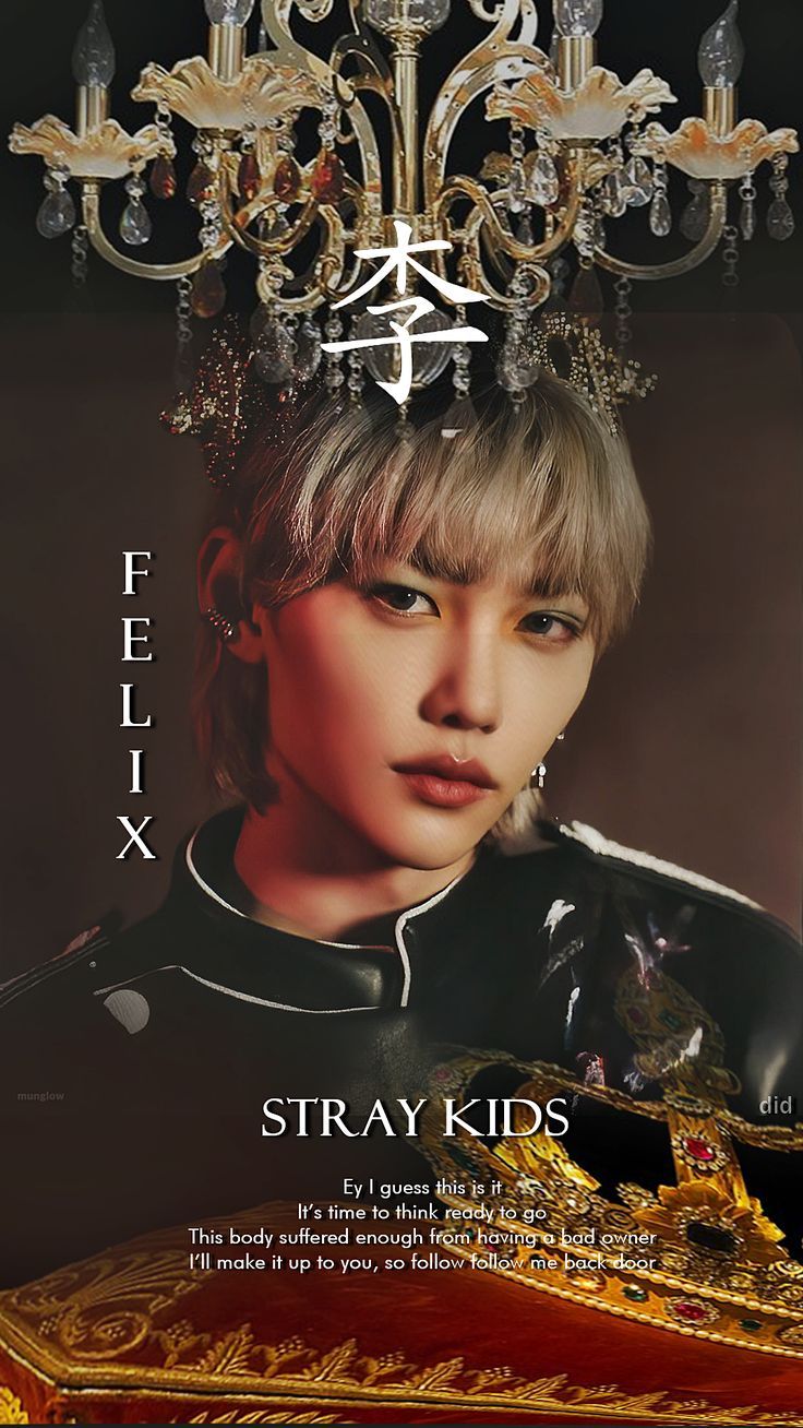 736x1308 Stray Kids IN生 ; Felix ! Back Door LockScreen / Wallpaper