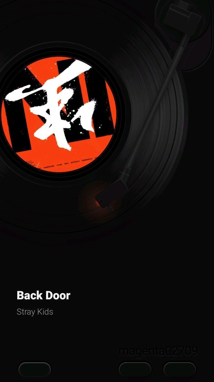 720x1280 Stray kids: Back Door