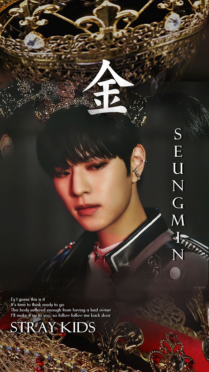 736x1308 Stray Kids IN生 ; Seungmin ! Back Door LockScreen / Wallpaper