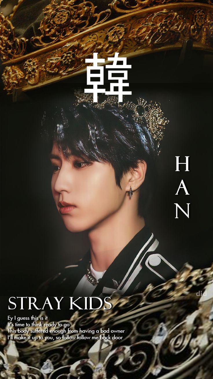 736x1308 Stray Kids IN生 ; Han ! Back Door LockScreen / Wallpaper