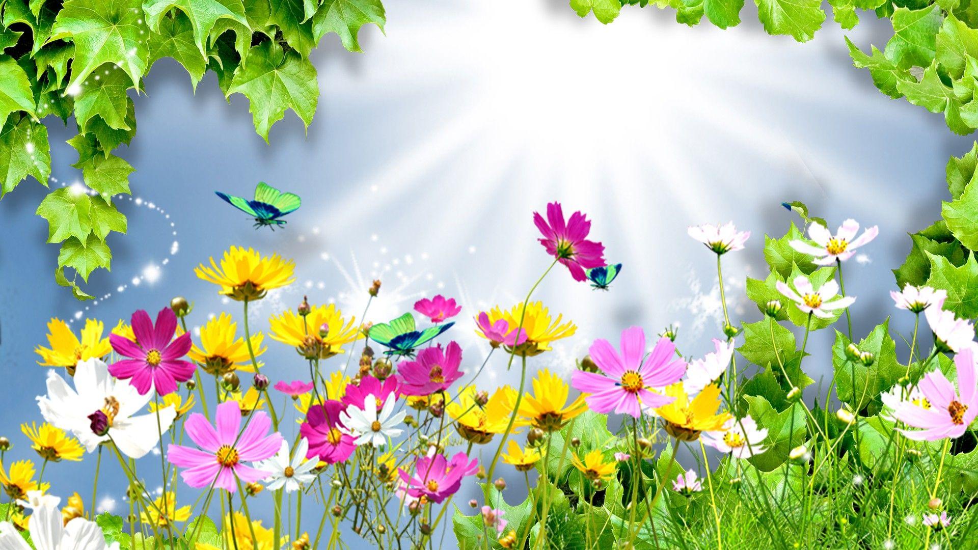 1920x1080 Bright Floral Background Free Download