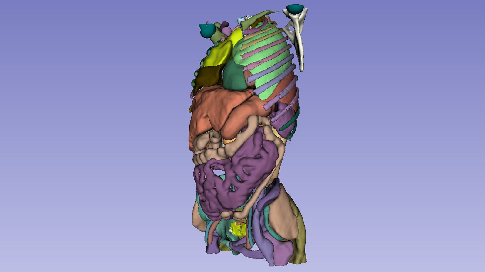 1600x900 Visual Foundation Models for Medical Image Analysis. NVIDIA Technical Blog