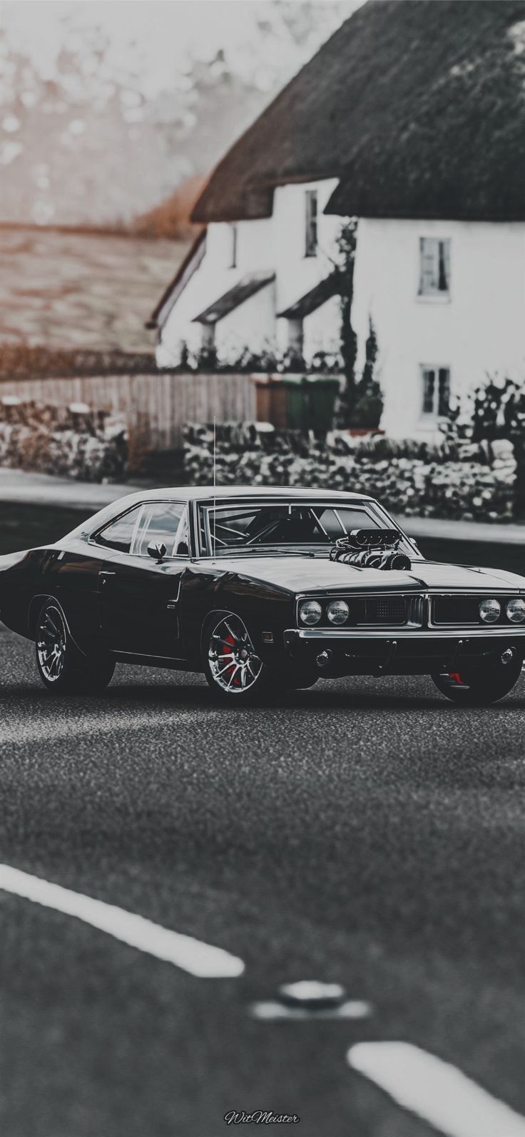 736x1592 Dodge ✨