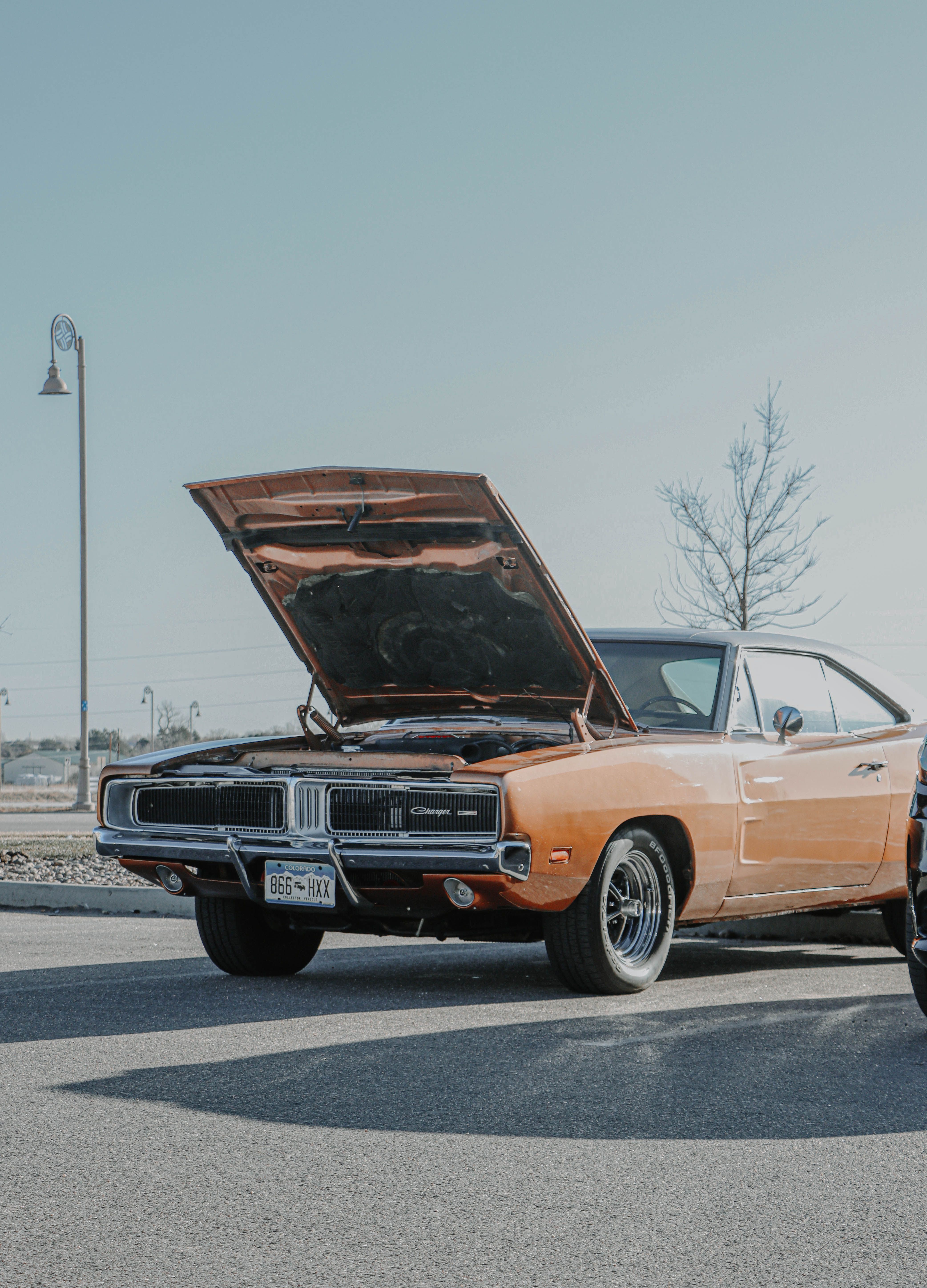 4168x5792 Dodge Charger Black Photo, Download The BEST Free 1970 Dodge Charger Black & HD Image