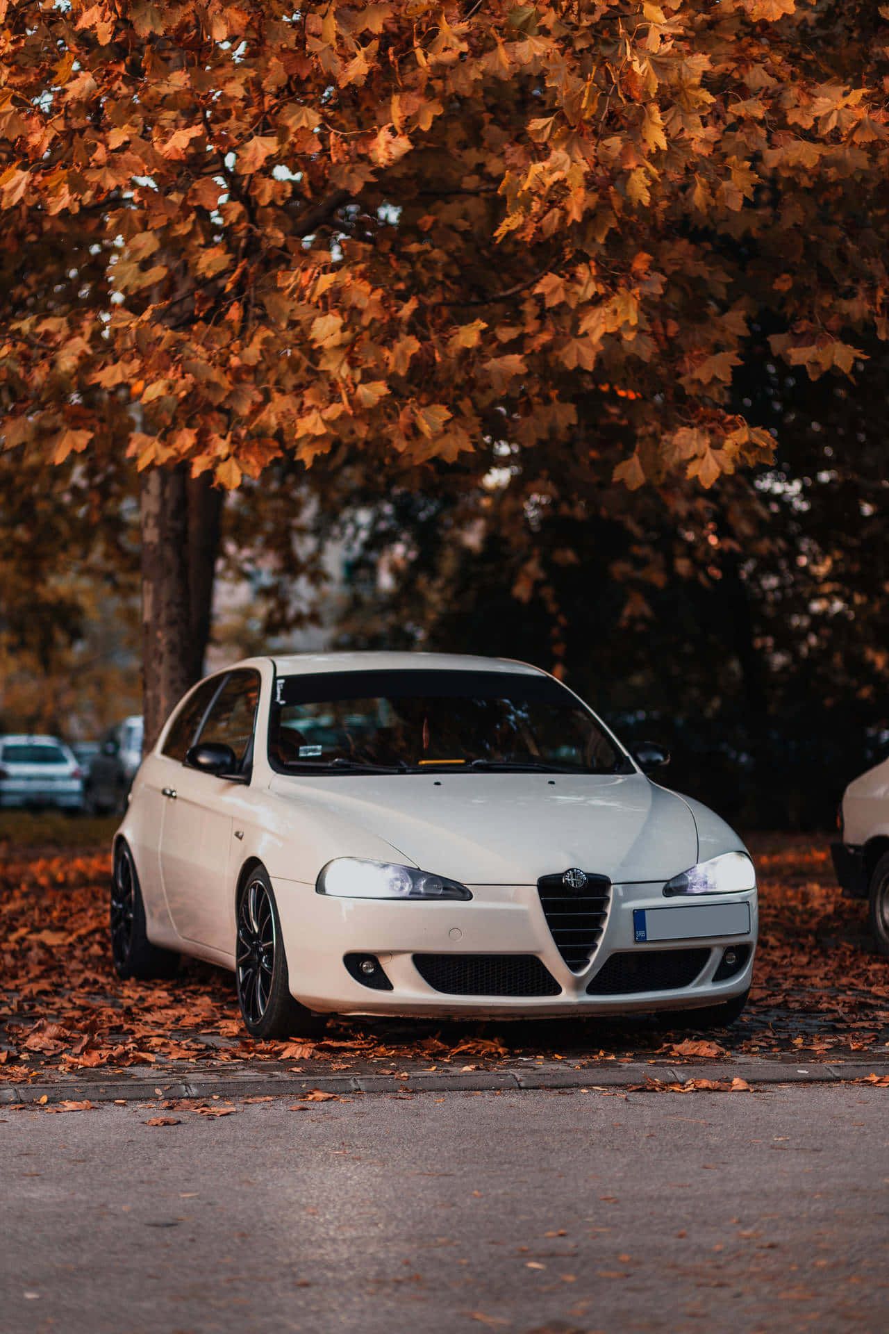 1280x1920 Download Stunning Alfa Romeo 147 in a Scenic Landscape Wallpaper