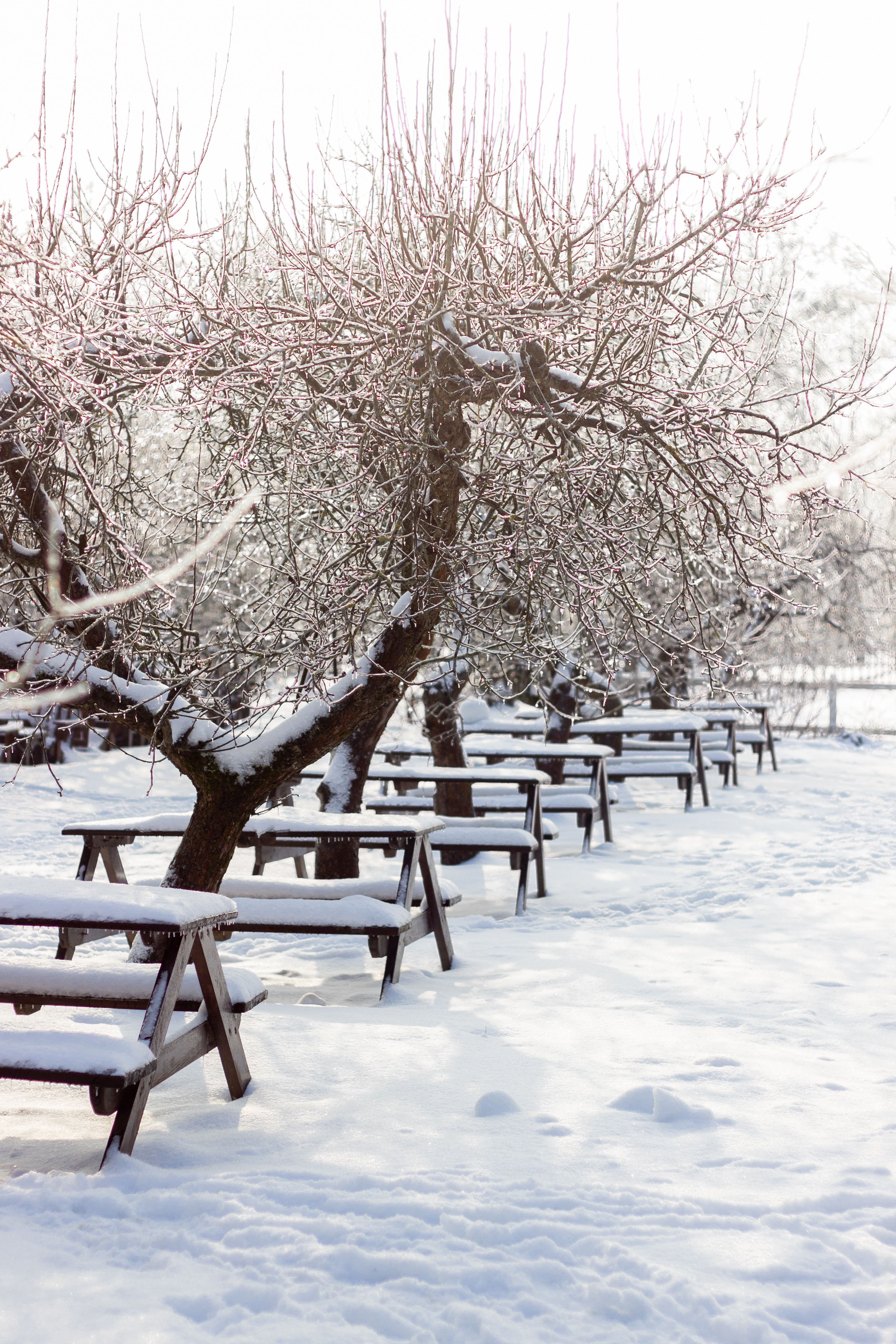 3243x4864 Snowy Winter Outdoor Cafe with String Lights · Free