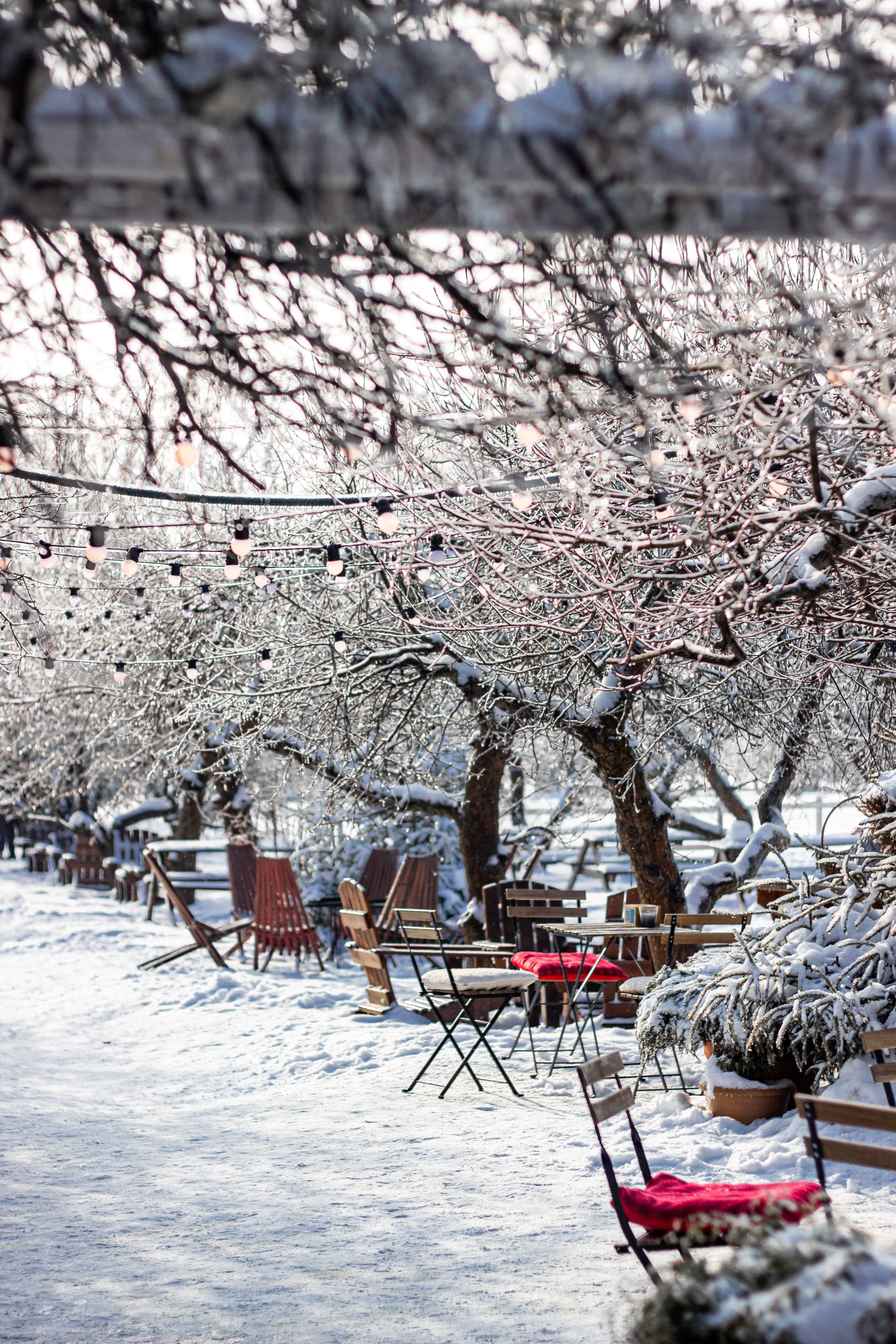 3456x5184 Winter Outdoor Cafe Scene with Red Cushions · Free