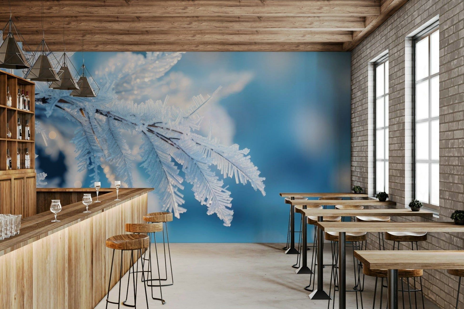 1946x1297 Icy Fronds Winter Wallpaper