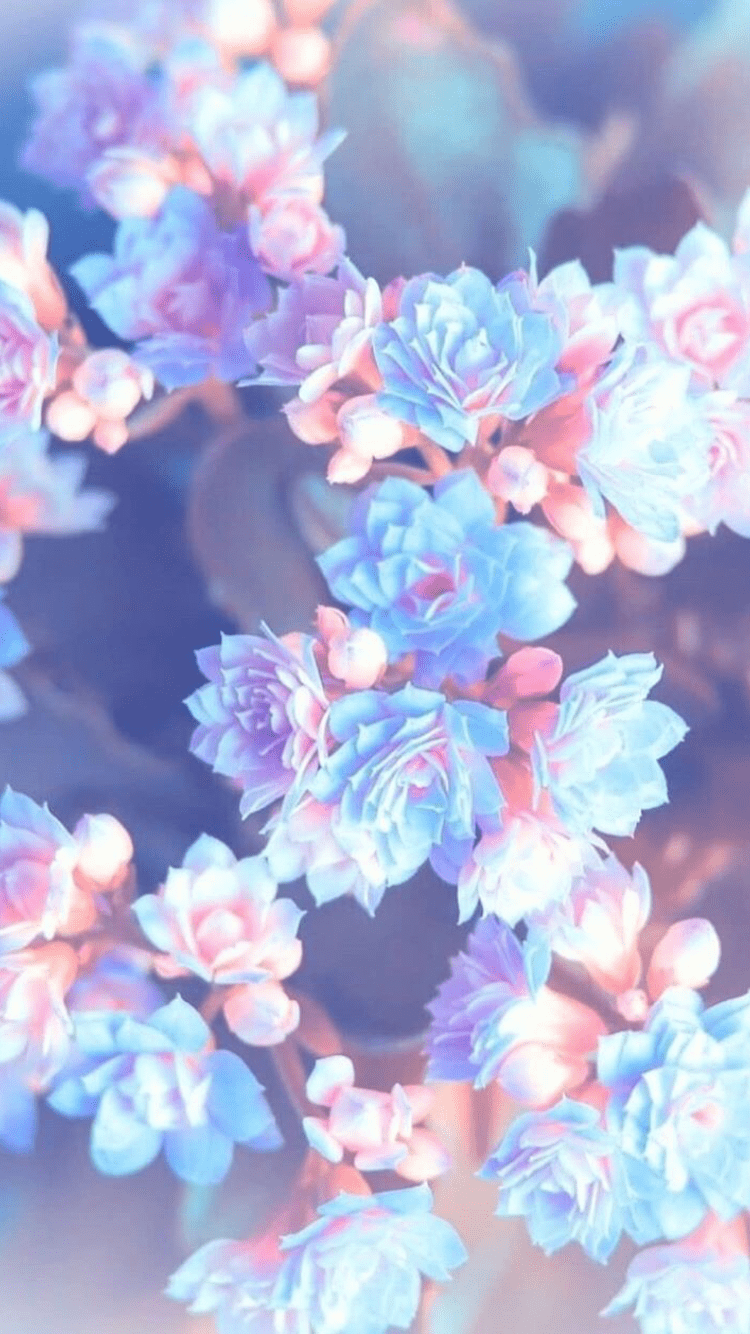750x1334 iPhone Light Purple Flower Wallpaper