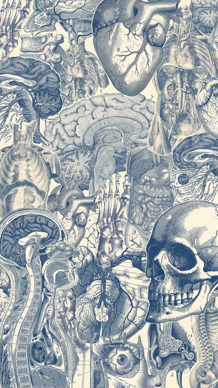 736x1308 Blue and white science background. Blue aesthetic science wallpaper, Wallpaper blue and white vintage, Psychoanalysis