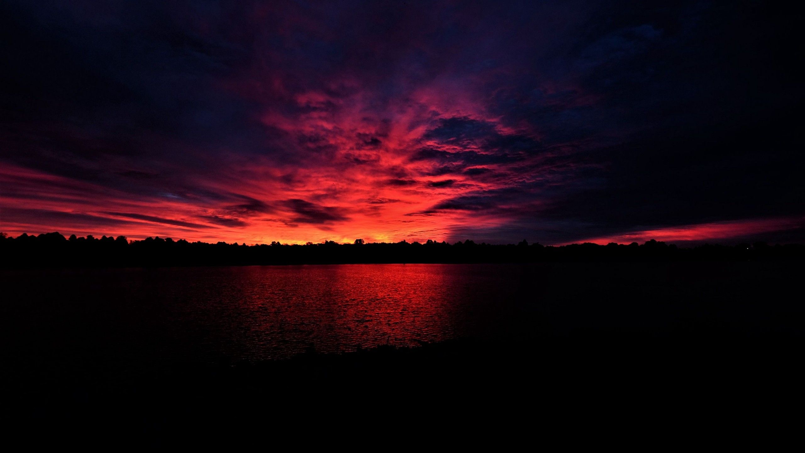 2560x1440 beautiful silhouette sea, trees, sunset, dark wallpaper, background 4K HD Dark Background Wallpaper