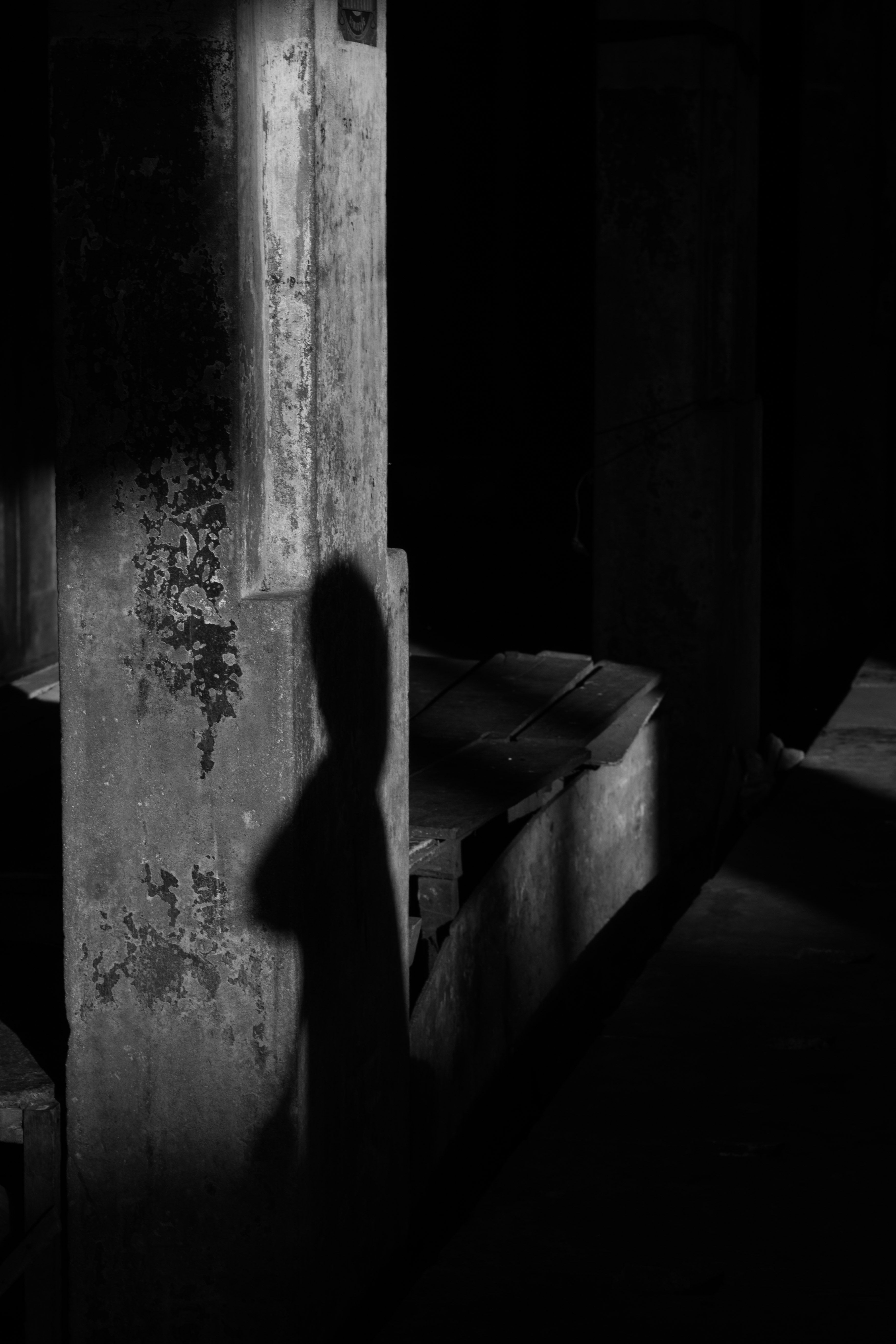 3507x5260 Dark Silhouette Photo, Download The BEST Free Dark Silhouette & HD Image