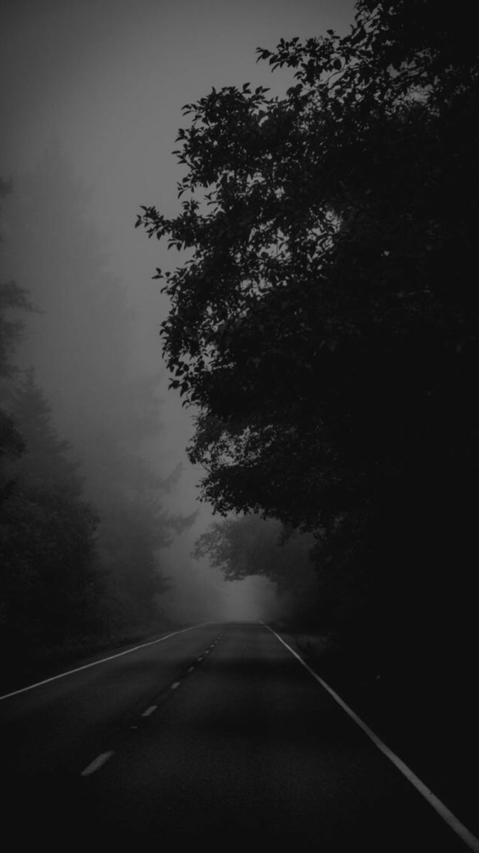 675x1200 Mysterious Foggy Night. Black and white foggy landscape, Creating atmospheric background, Foggy road with trees
