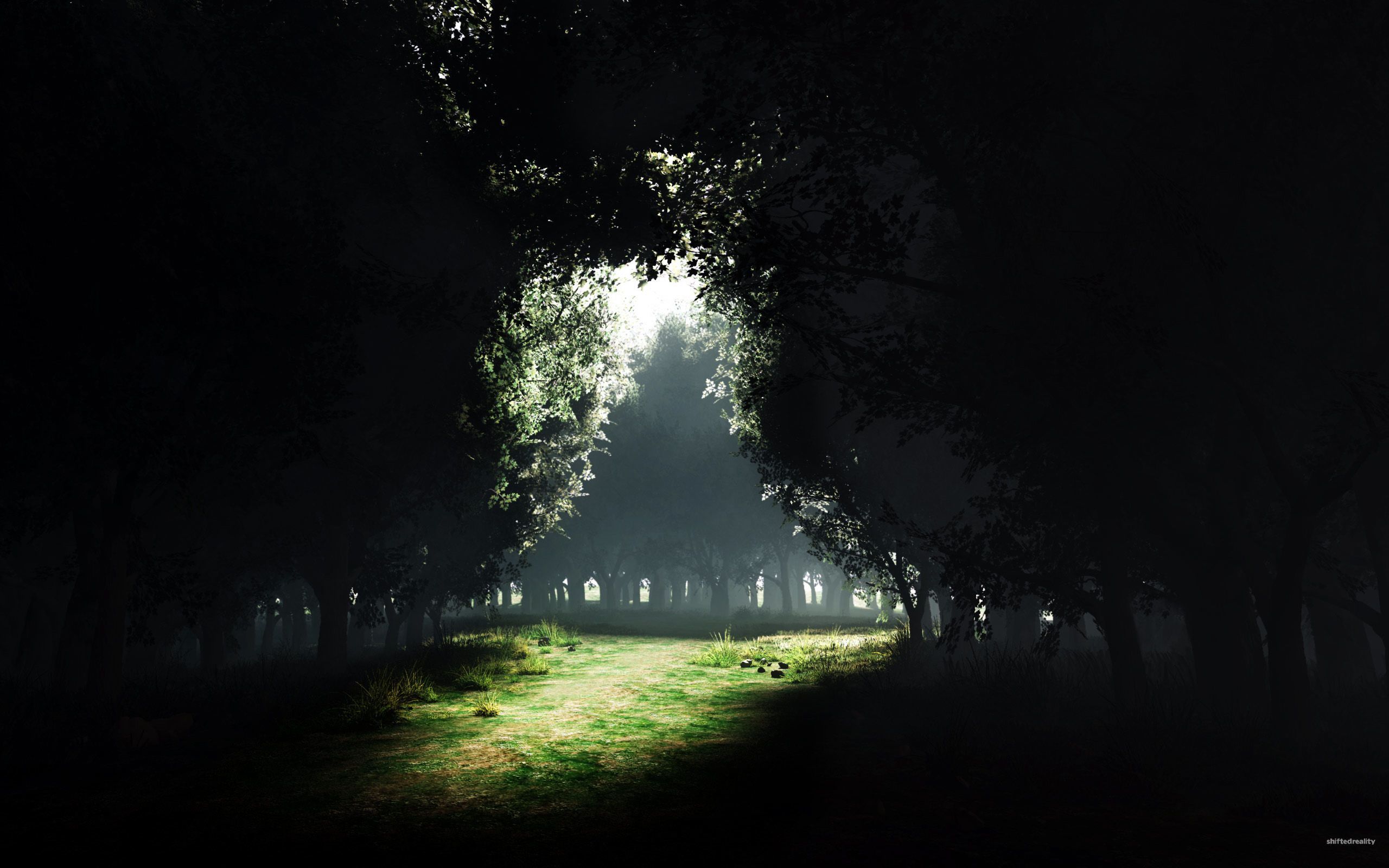 2560x1600 Serene Meadow: A Dark Nature Escape Wallpaperx1600