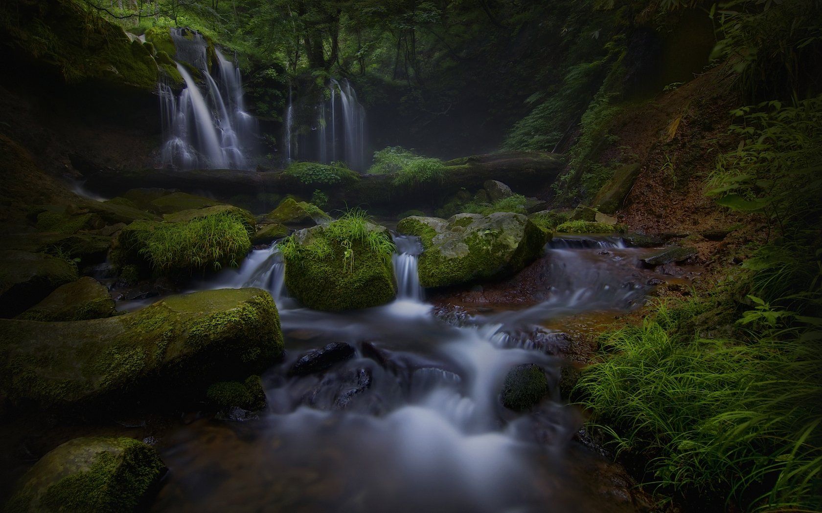 1680x1050 Download Tree Dark Forest Nature Waterfall Dark Nature Wallpaperx1050