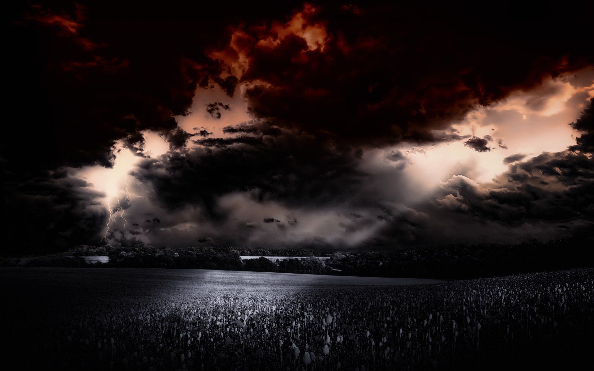 1920x1200 Majestic Nature Field: HD Wallpaper of Dark Stormy Skiesx1200