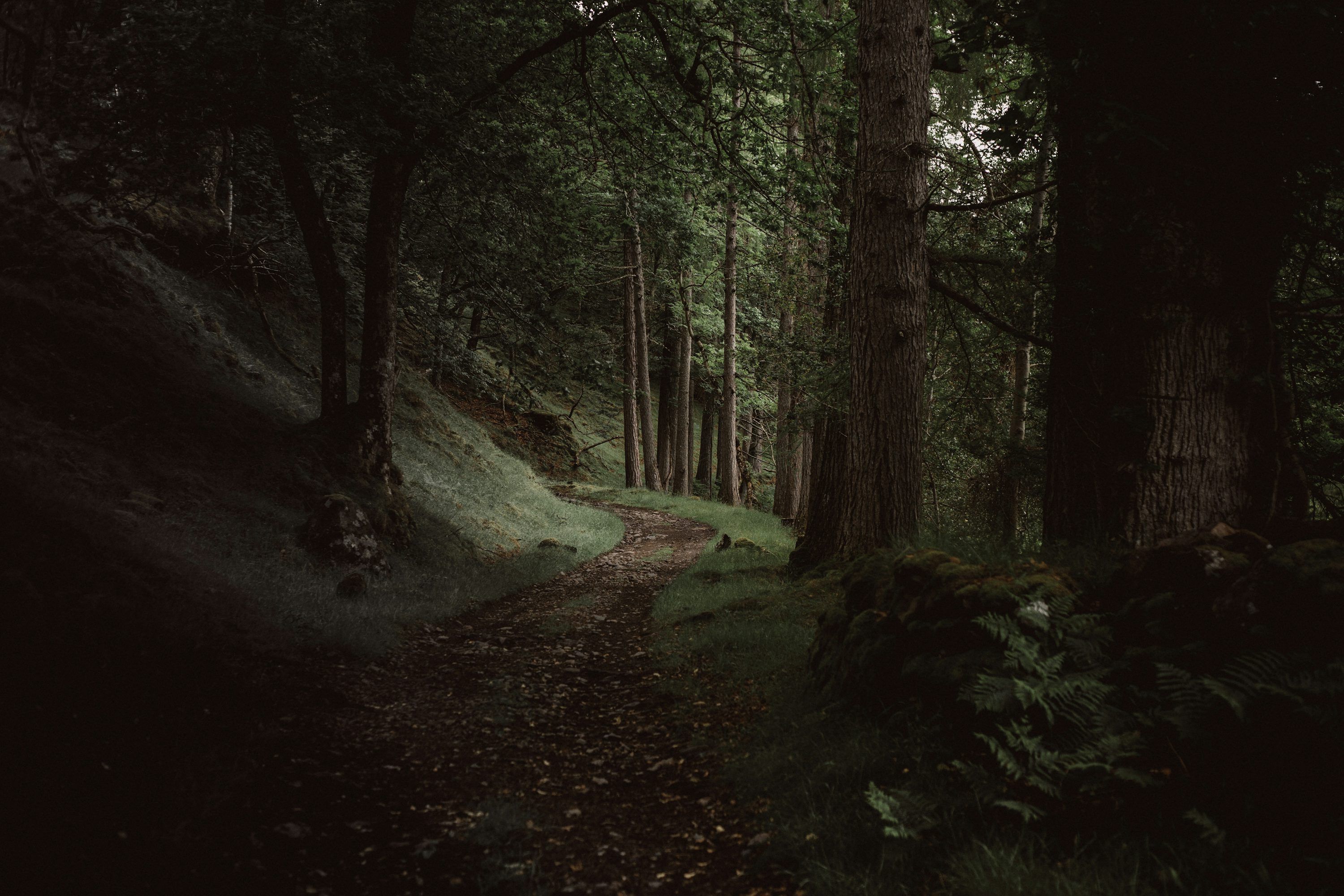 3000x2000 Nature Dark Picture. Download Free Image