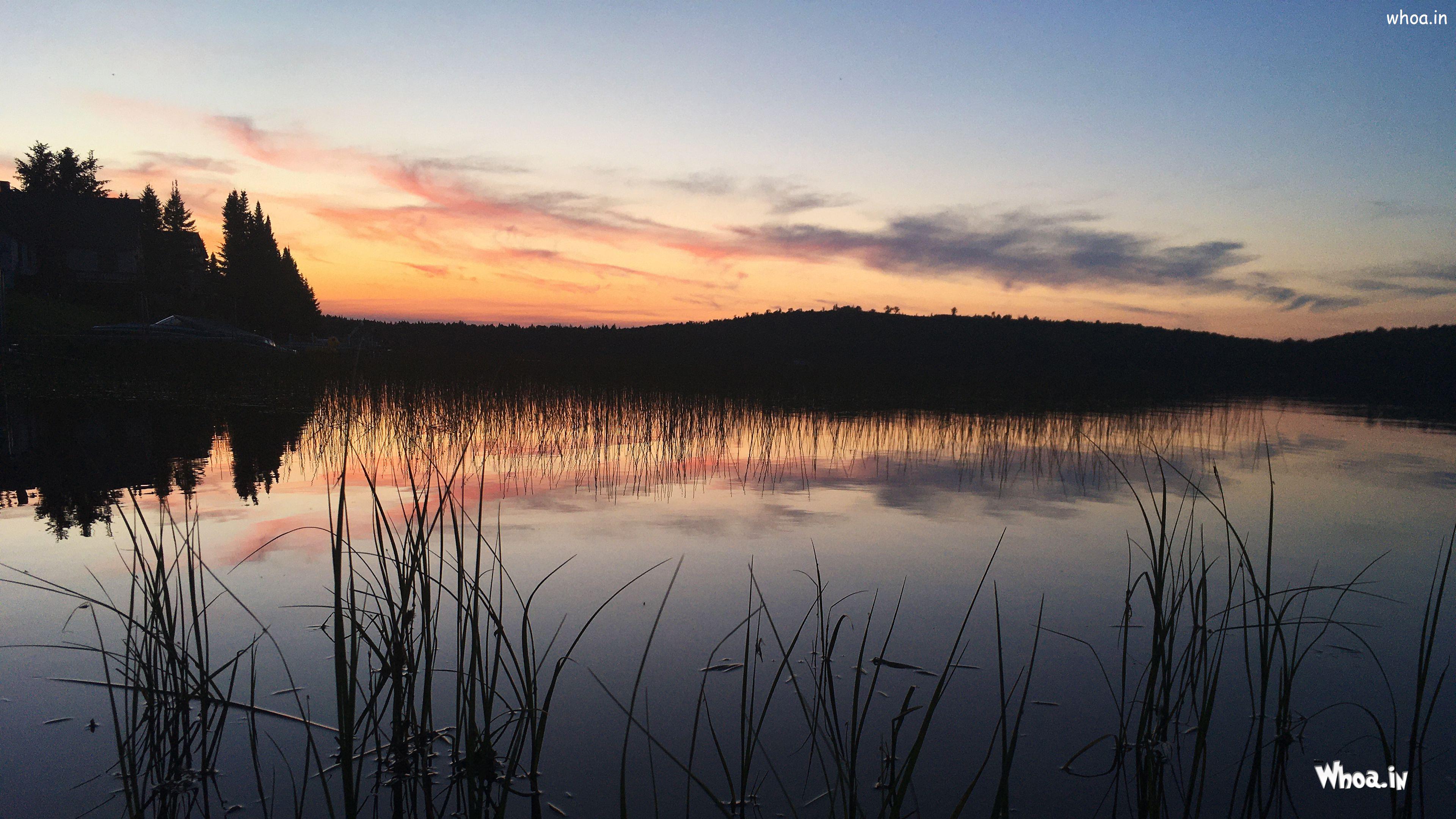3840x2160 Trees Grass Silhouettes Dark Background Reflection On Water