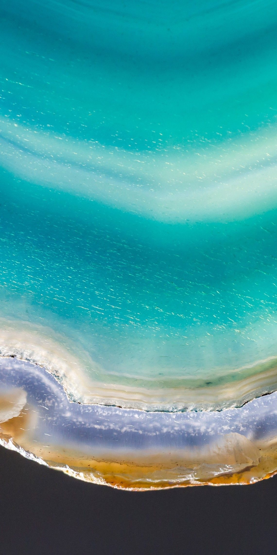 1140x2280 Nokia X10 Wallpaper