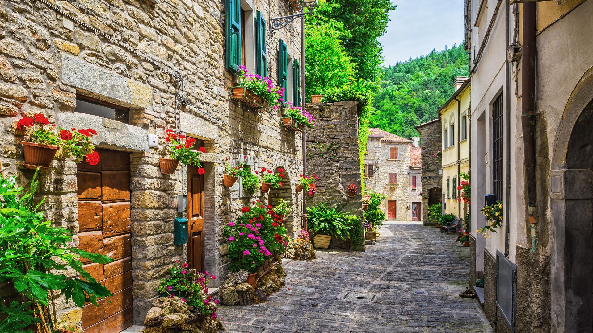 1920x1080 Watch European Building Italian Street Tuscany Stone Path Backdrop on Amazon Live