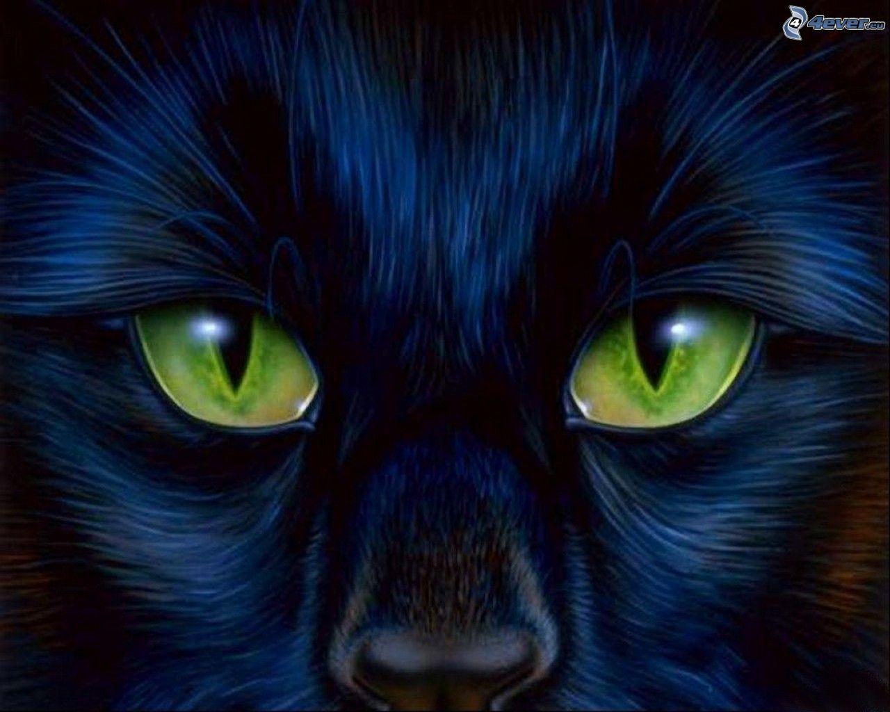 Cartoon Cat Face Wallpapers Top Free Cartoon Cat Face Backgrounds 