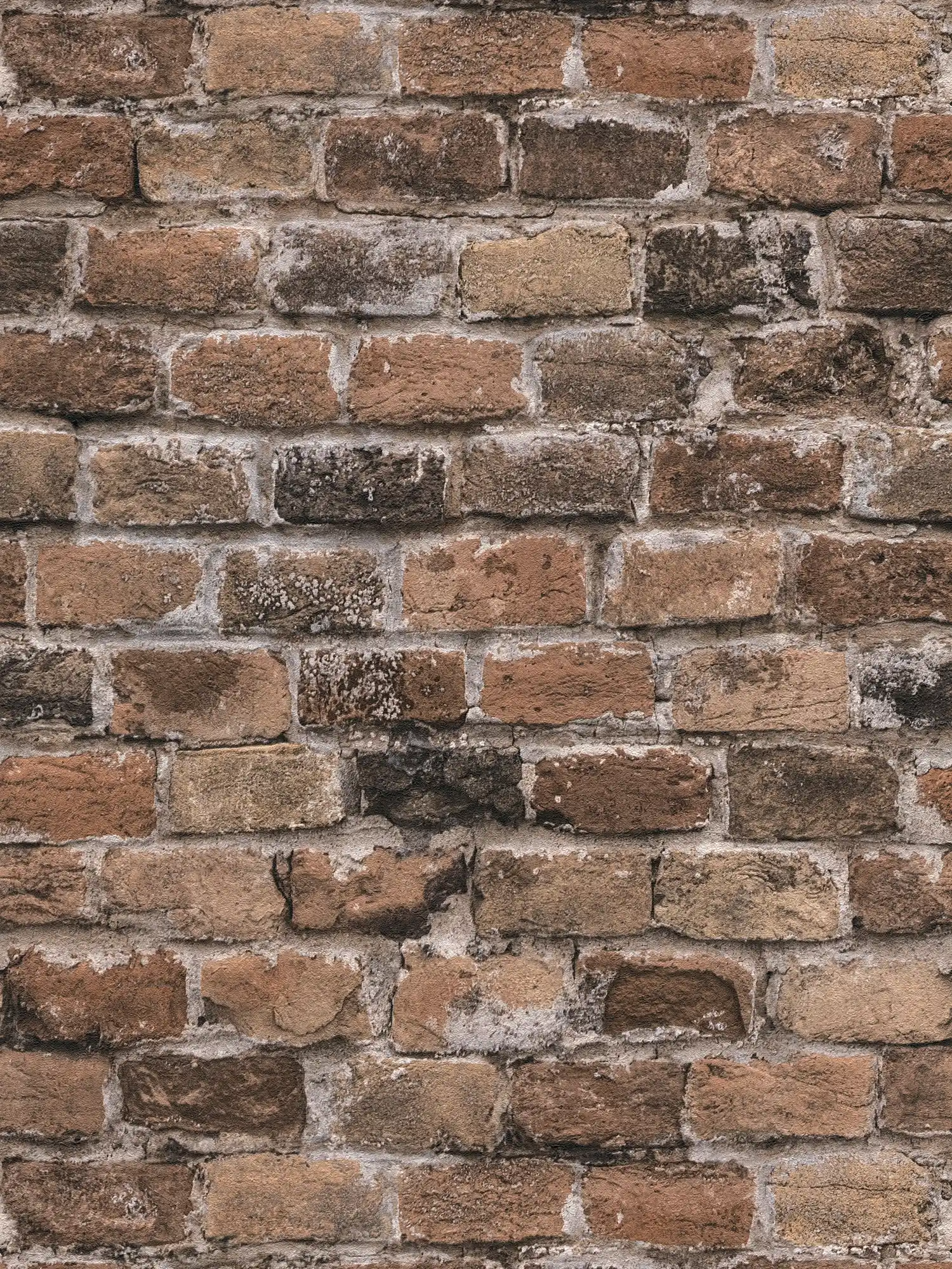1500x2000 Wallpaper stone look buy online. A.S. Création