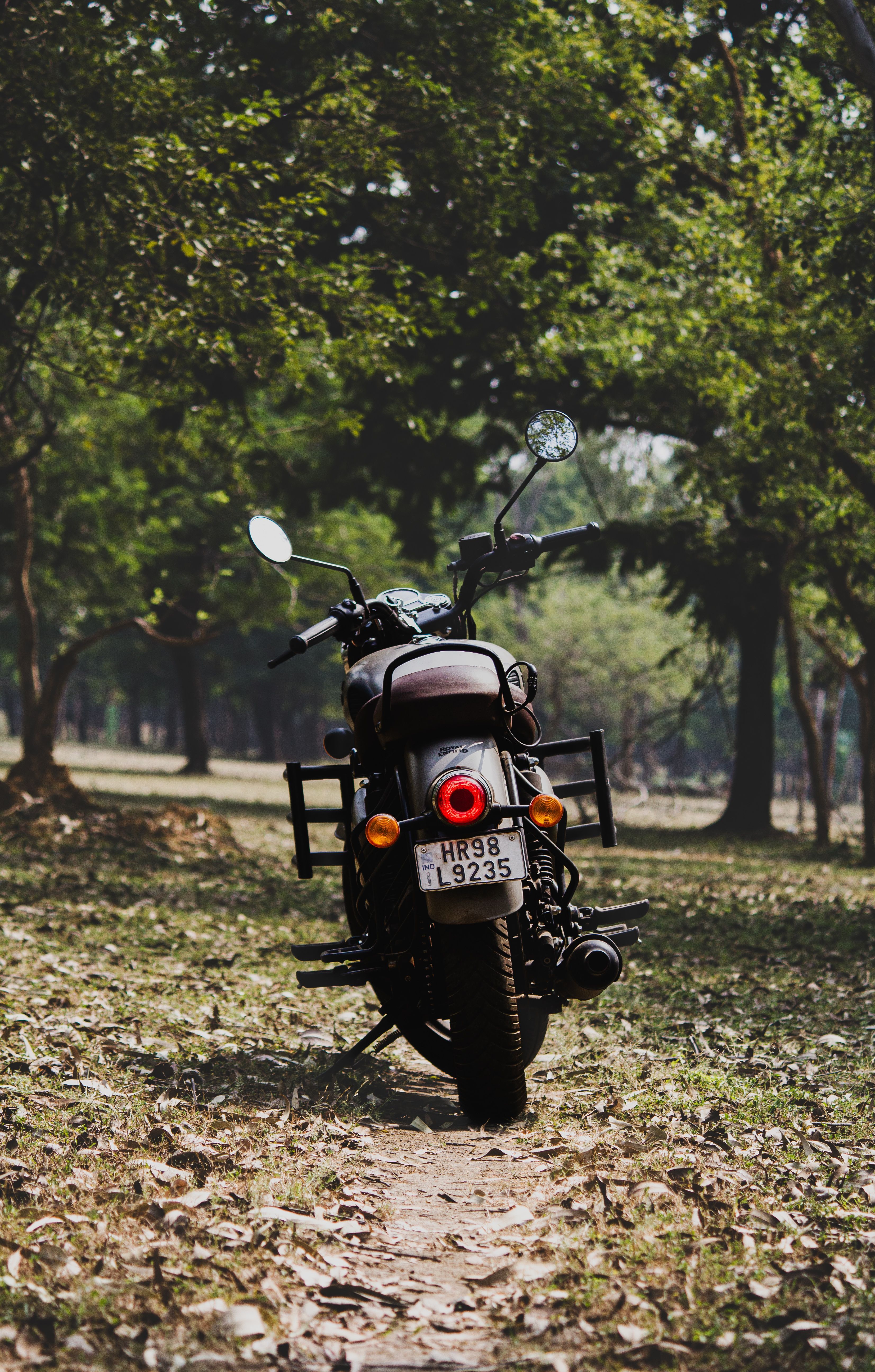 3306x5184 Royal Enfield Motorcycle in Lush Forest Path · Free