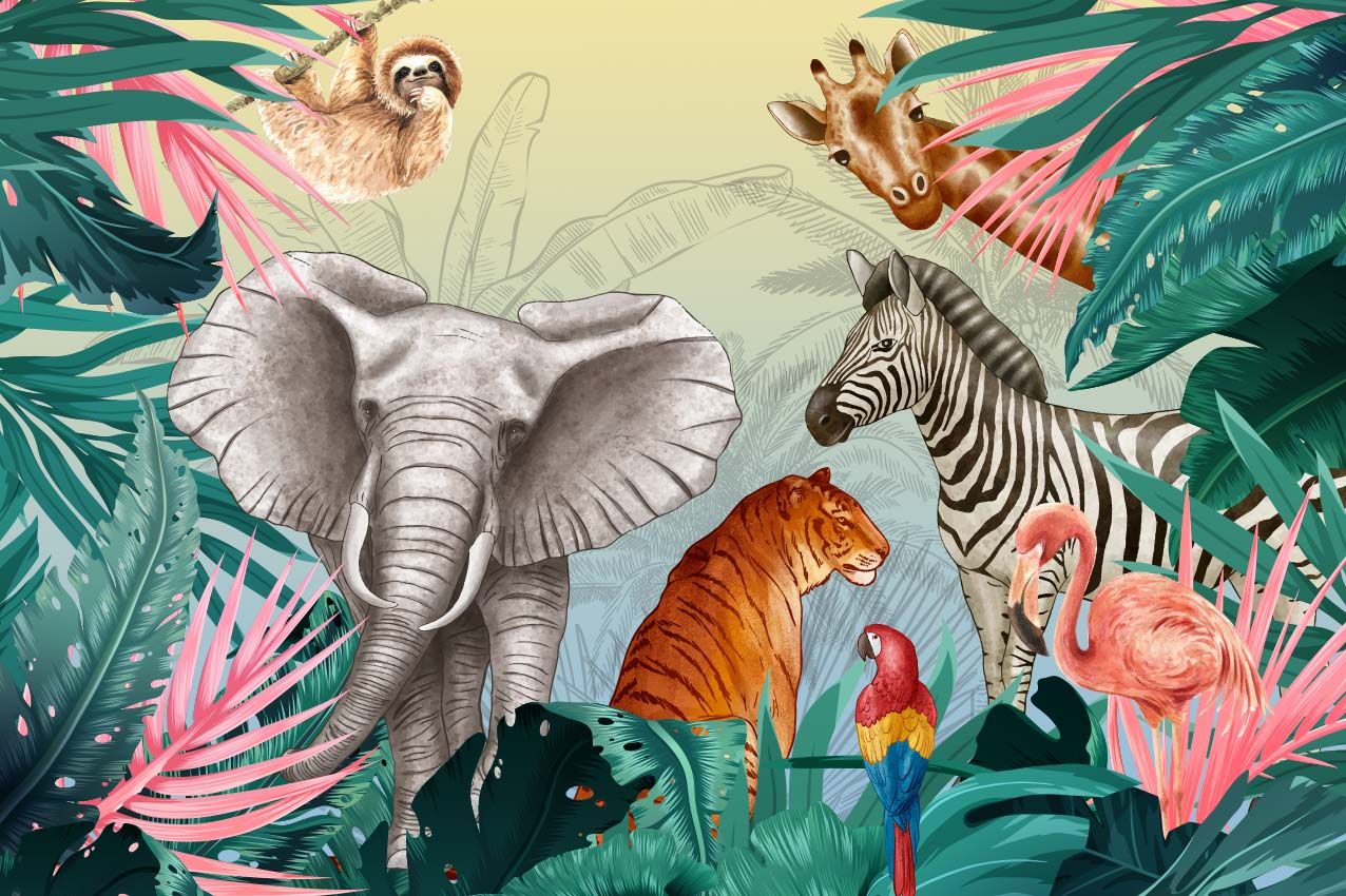 1276x850 Colorful Jungle Animals Wallpaper