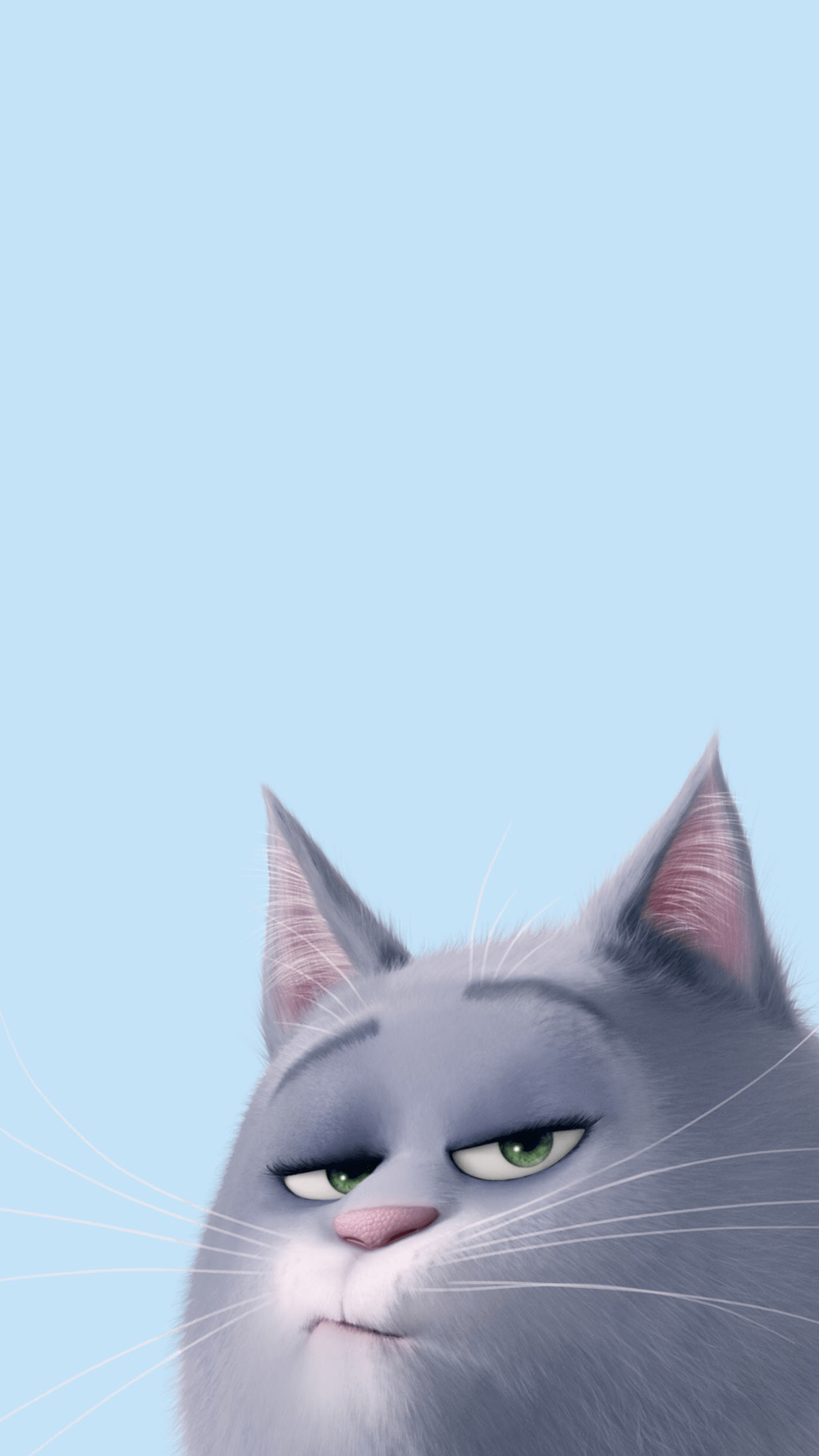 Cartoon Cat Face Wallpapers Top Free Cartoon Cat Face Backgrounds 