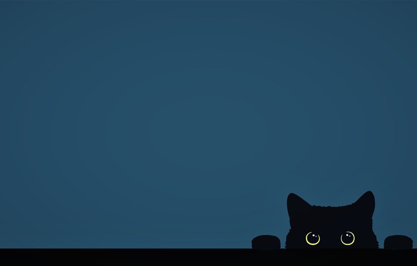 Minimalist Cat Computer Wallpapers - Top Free Minimalist Cat Computer