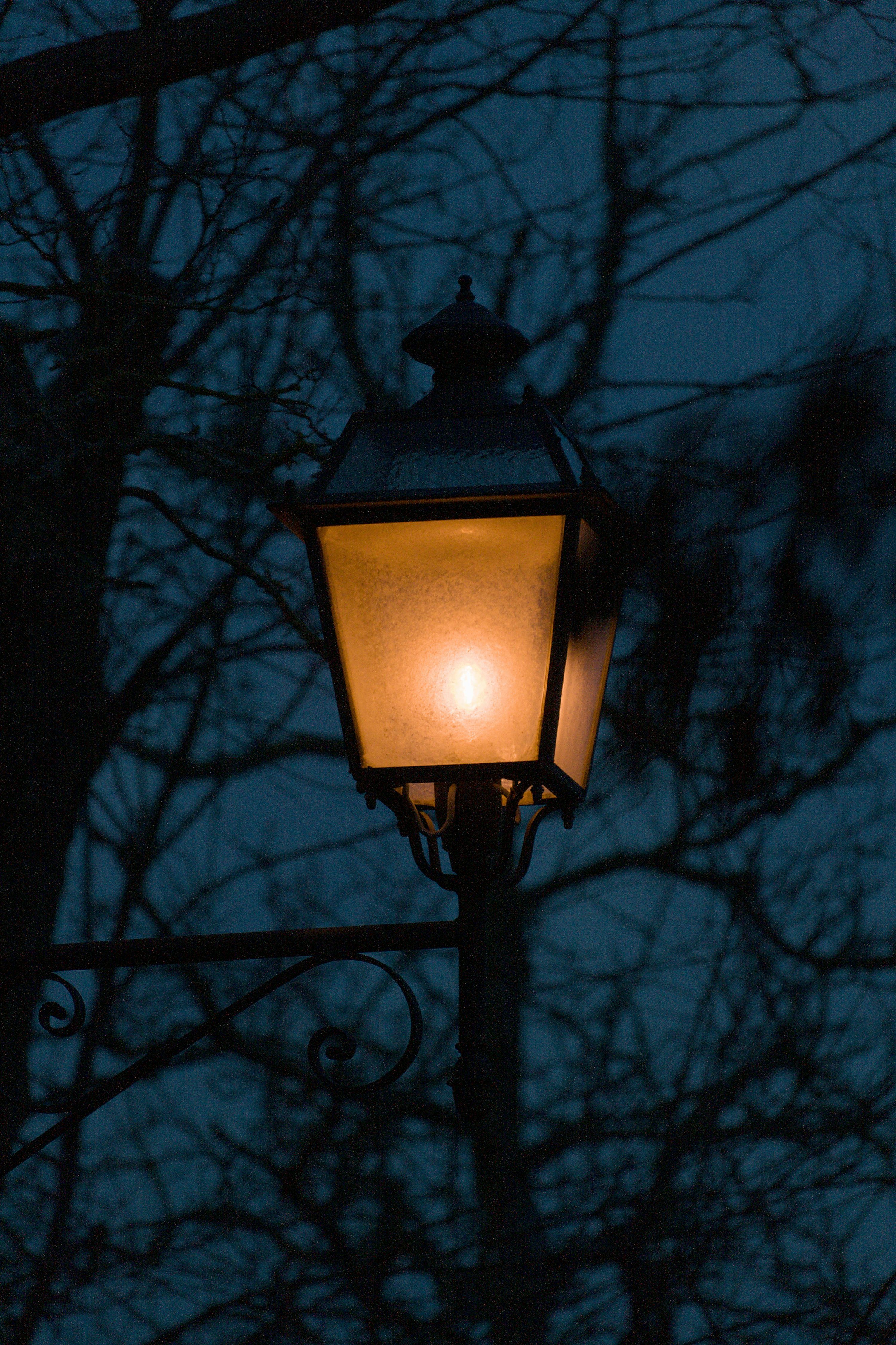 3000x4503 An illuminated vintage street lamp against dark trees