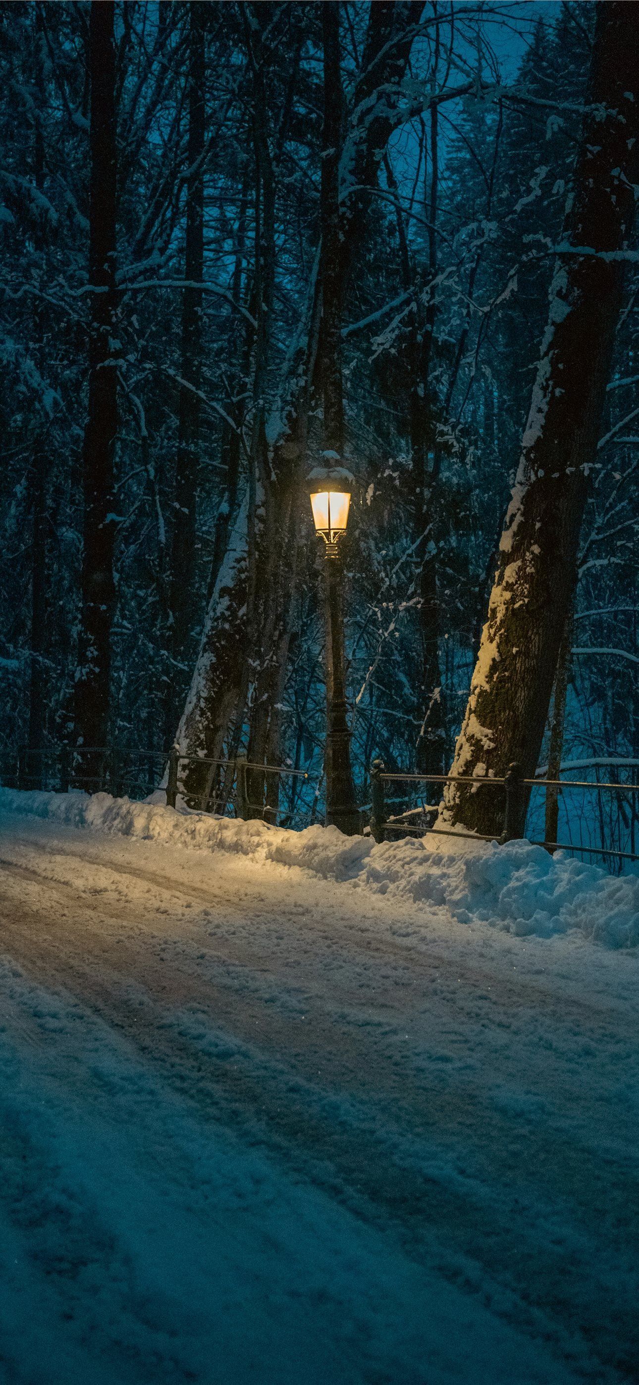 1290x2796 A lamp lights a snowy path through a dark forest iPhone Wallpaper Free Download