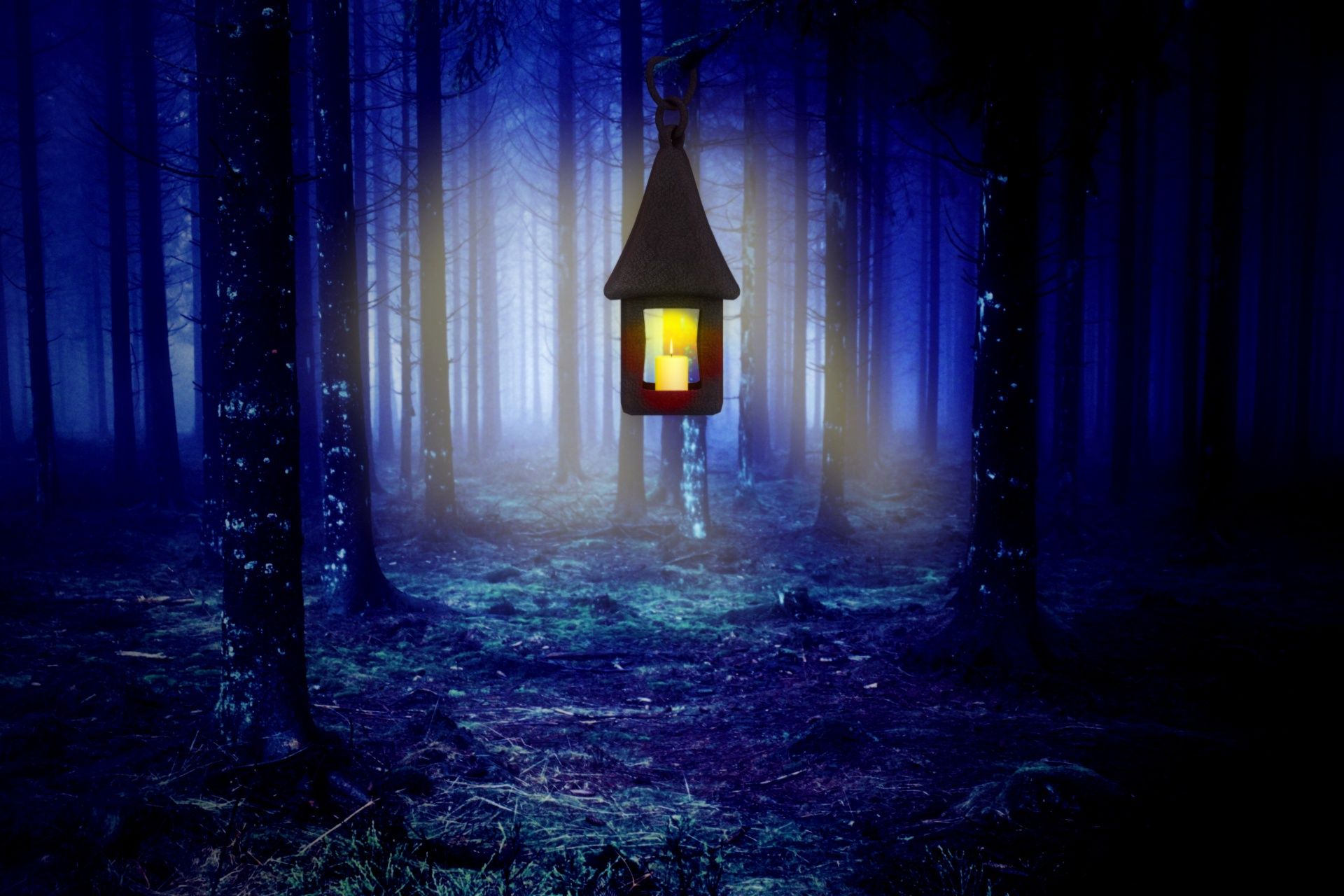 1920x1280 Download free photo of Night, forest, lamp, light, sparkle