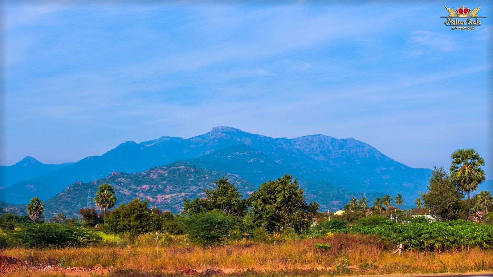 1600x900 DINDIGUL NATURE (4). Nattar Raja Photography