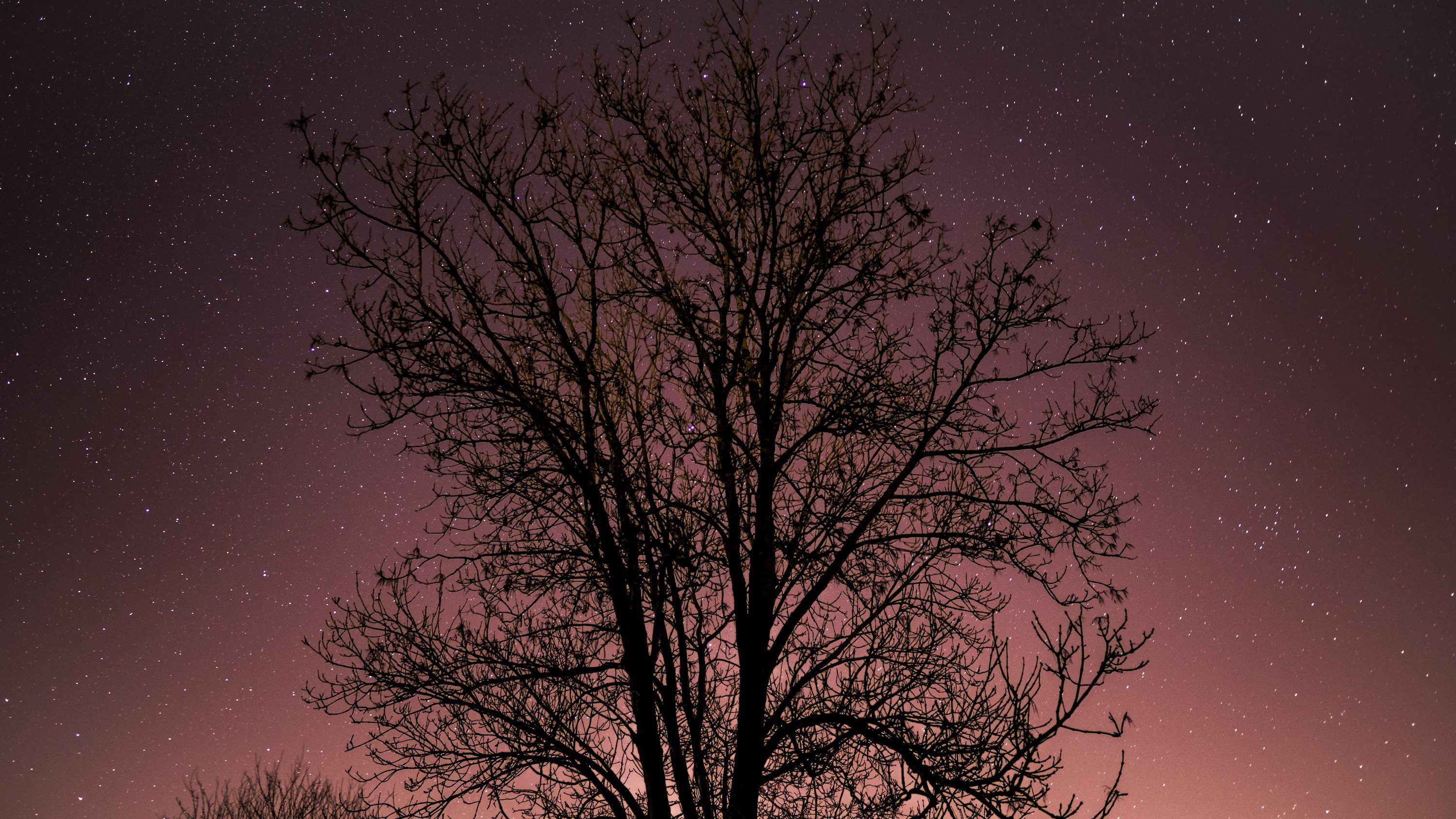 3000x1688 Pink Stars Picture. Download Free Image