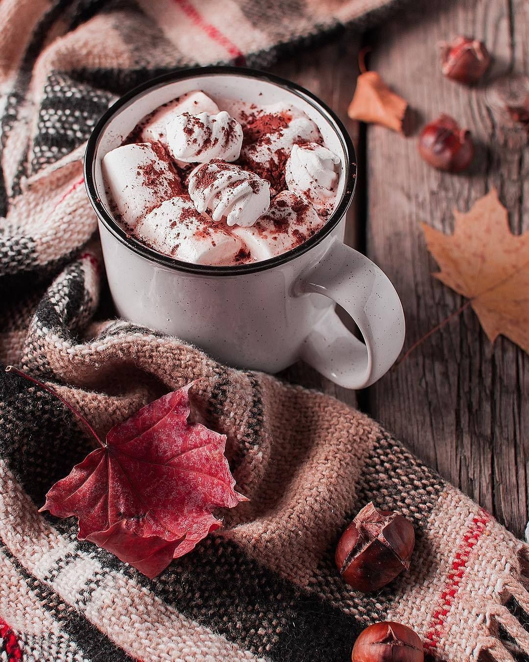 1080x1350 Fall ideas. autumn aesthetic, fall feels, cozy autumn book with cinnamon