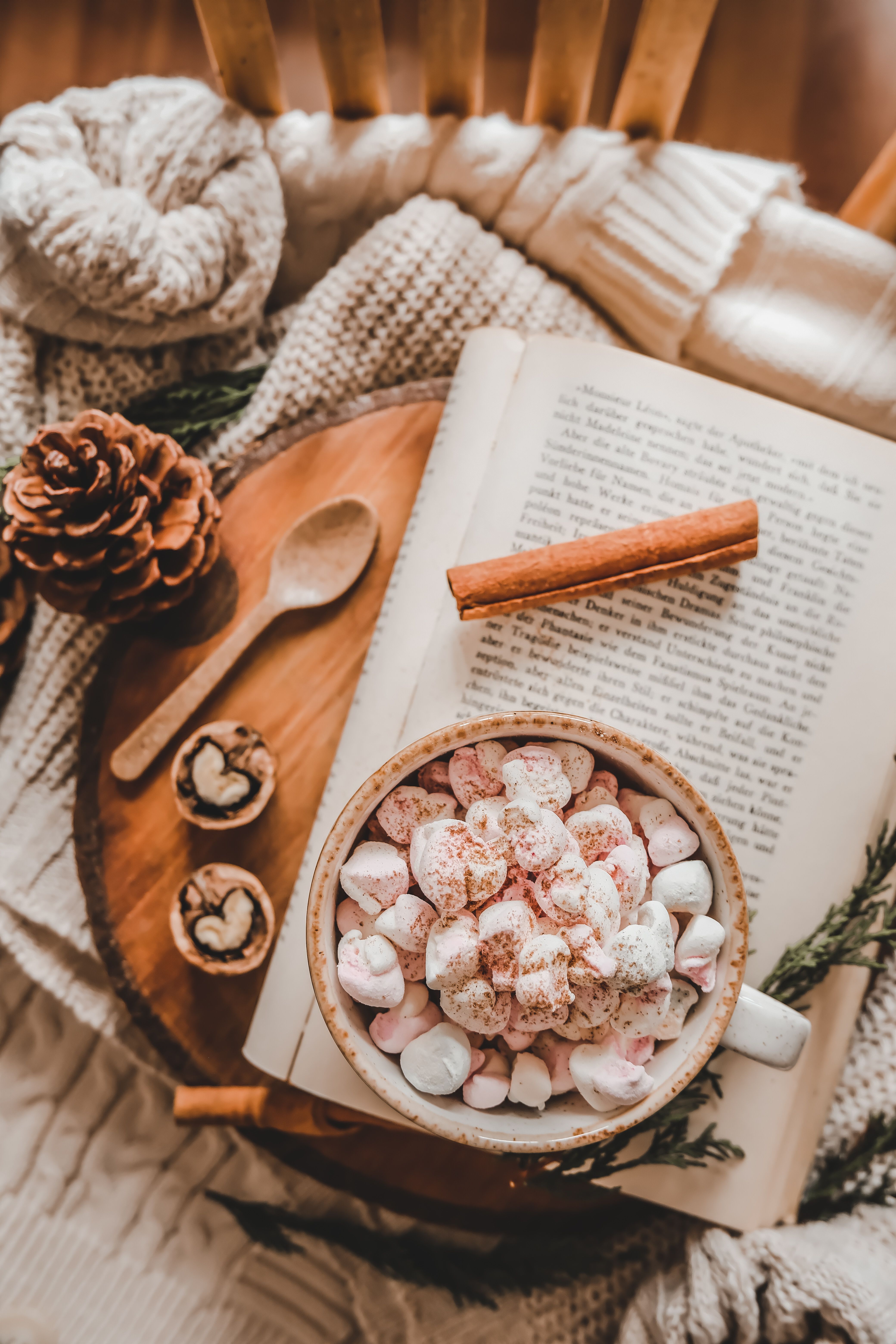 4160x6240 Christmas Still Life with Cinnamon · Free