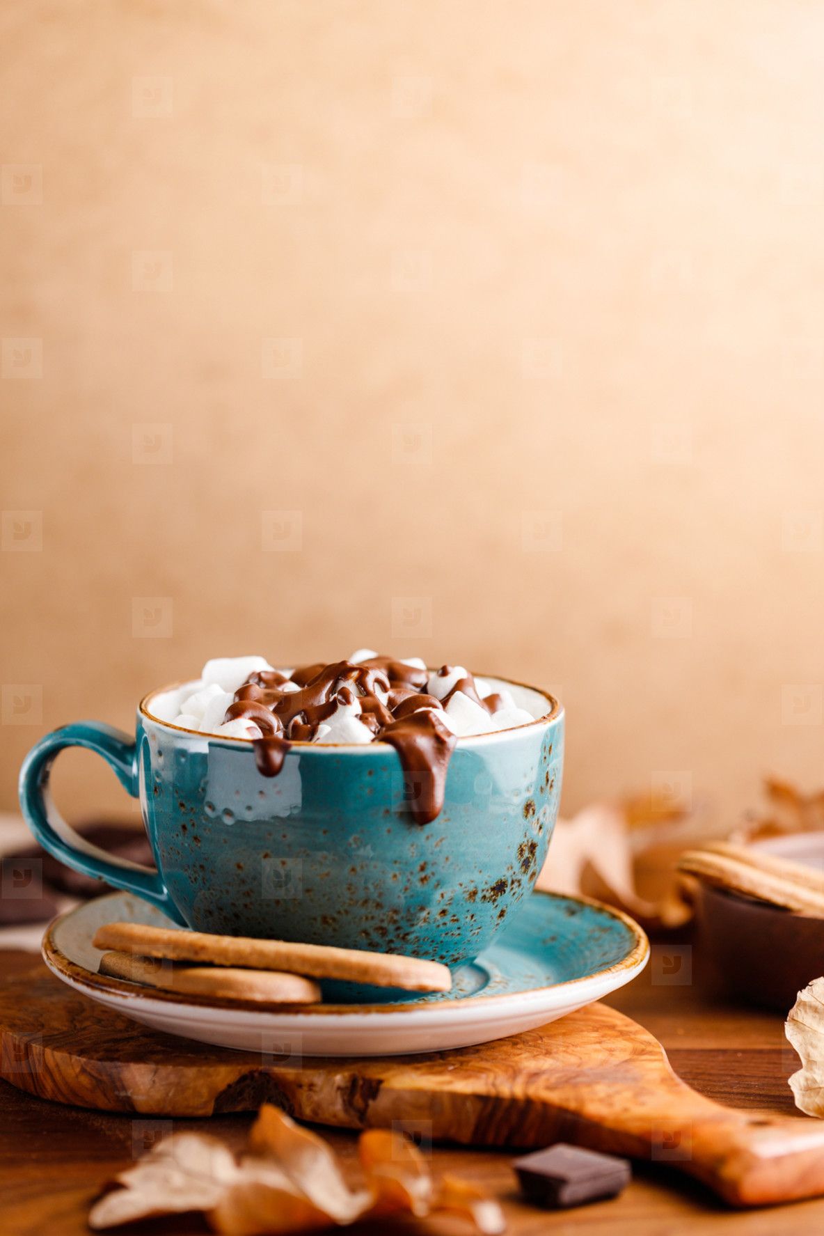 1184x1775 Close Up Of Hot Chocolate With Marshmallows On The Table With Copy Space. Autumn Or Winter Cozy Still Life Photo