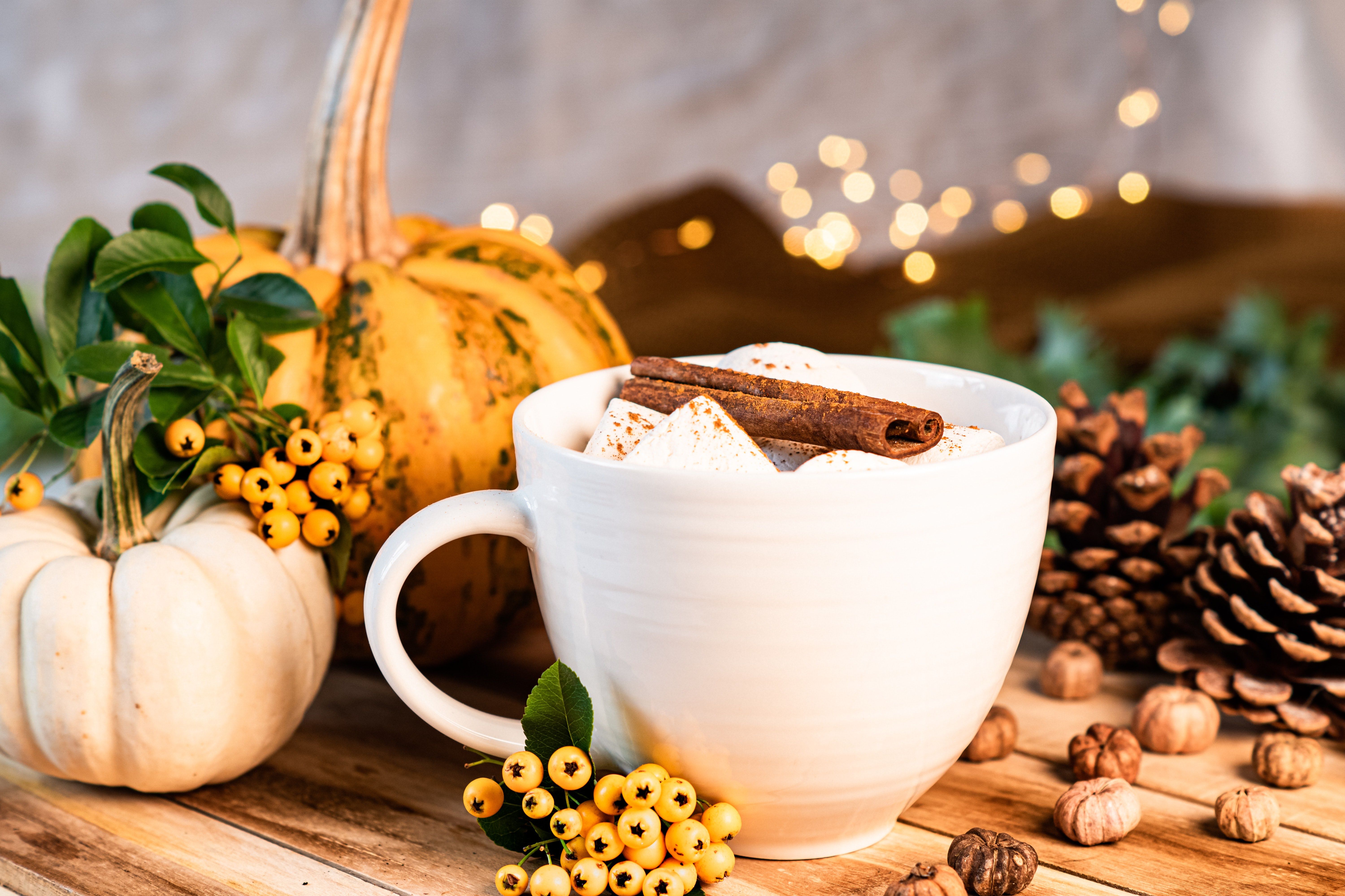 6000x4000 Cozy Pumpkin Spice Hot Chocolate with Marshmallows Ultra HDx4000