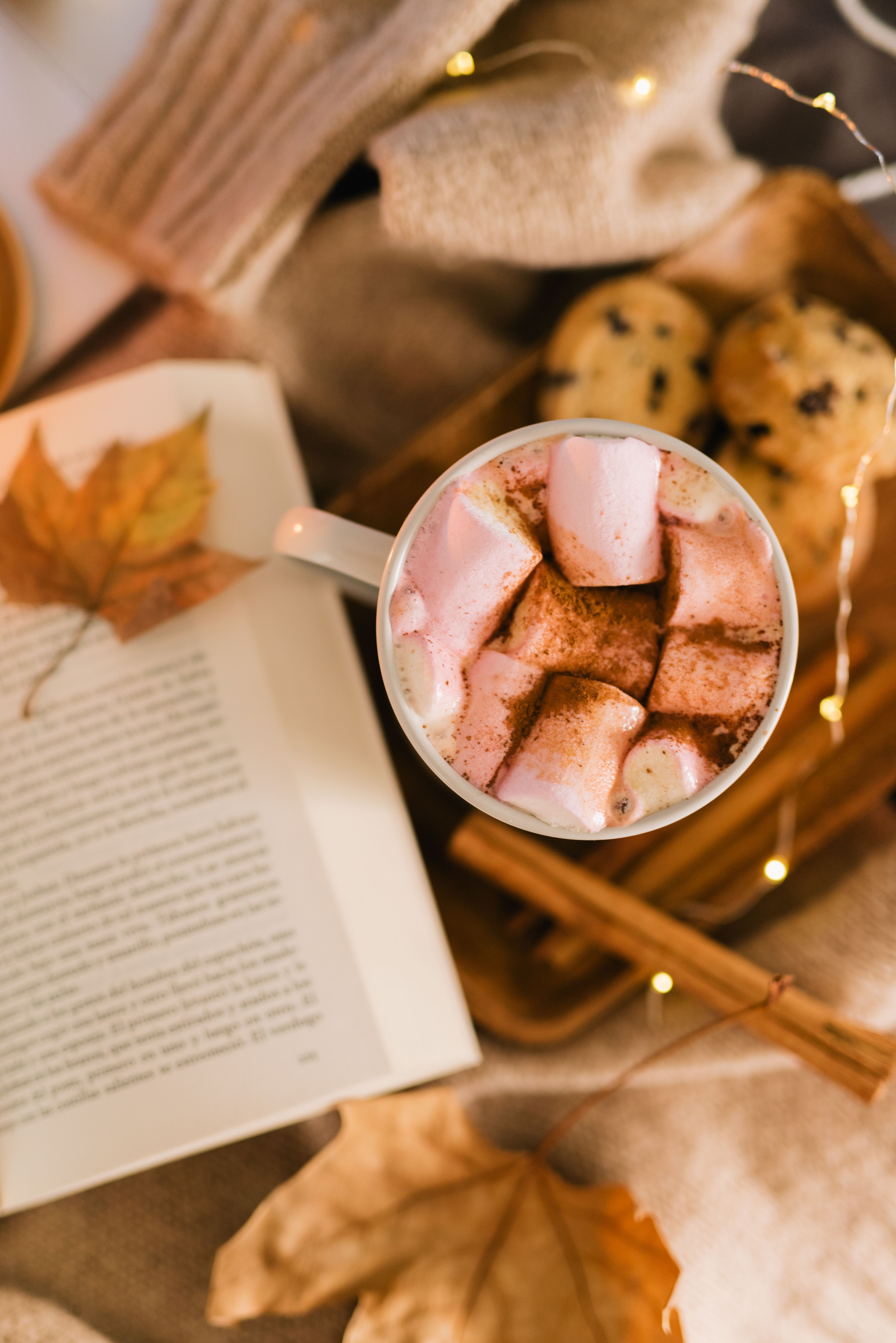 4016x6016 Cozy Autumn Mug with Hot Chocolate and Marshmallows · Free