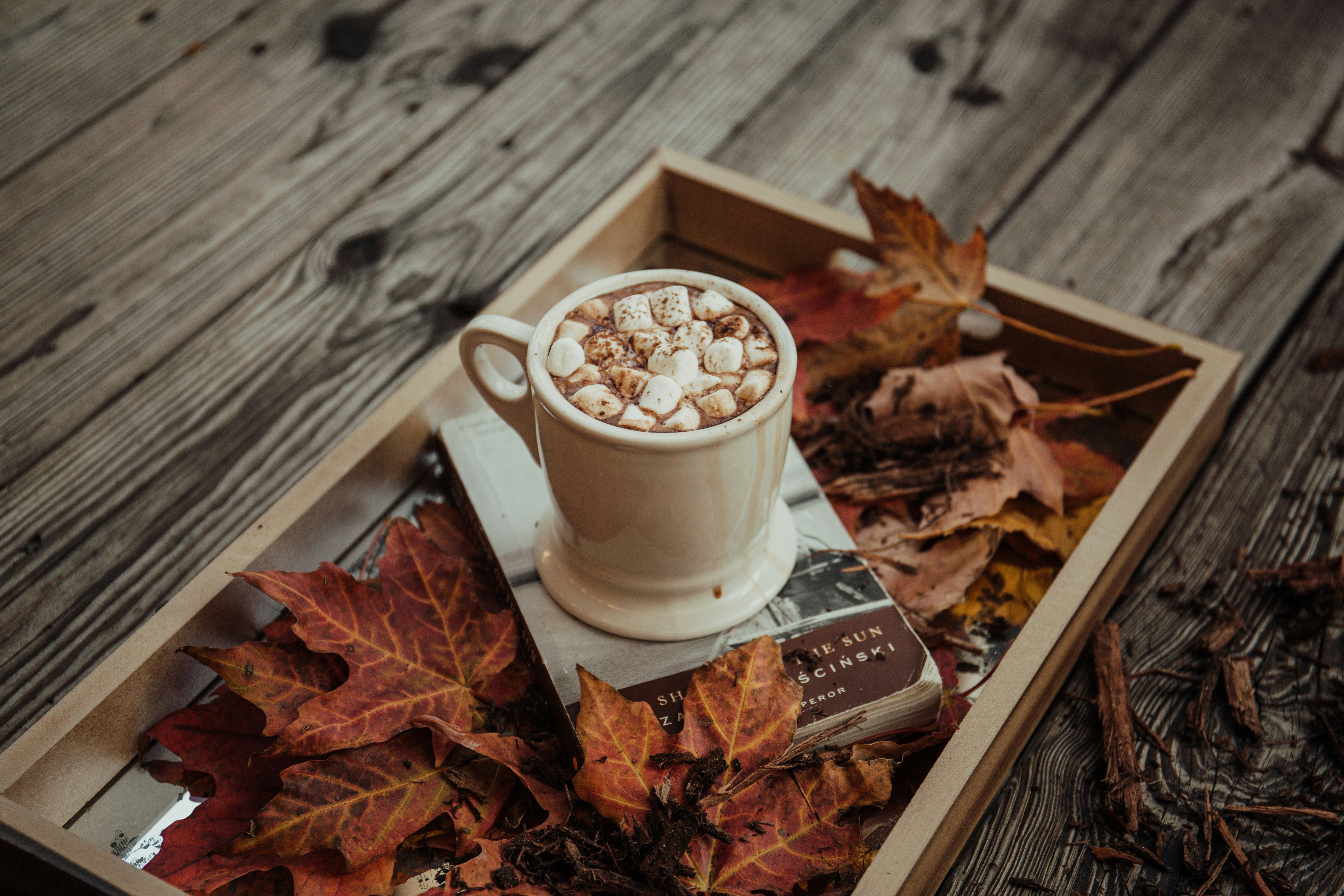 5585x3723 Hot Chocolate Day: How The 16th Century Medicine Turned Into The Most Beloved And Comforting Winter Drink