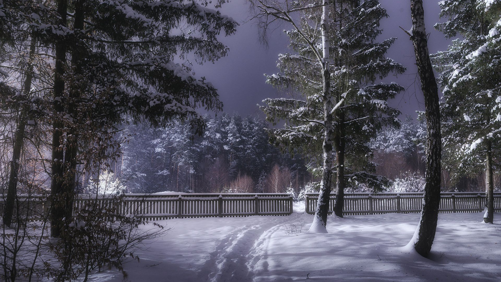 1920x1080 Ukraine Forest Path With Fence And Snow Covered Trees During Winter HD Nature Wallpaper
