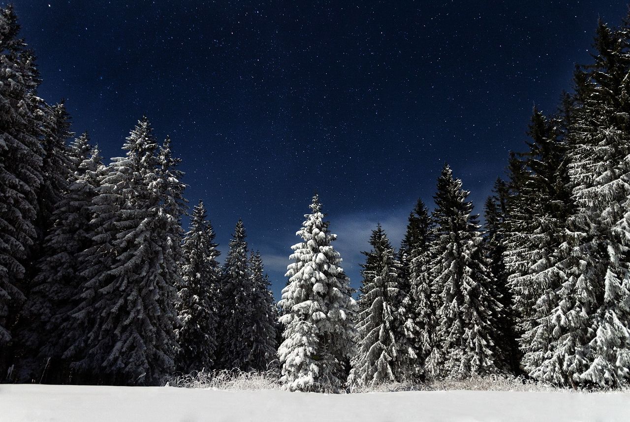 1280x859 Mystical winter landscapes of the Ukrainian Carpathians · Ukraine travel blog