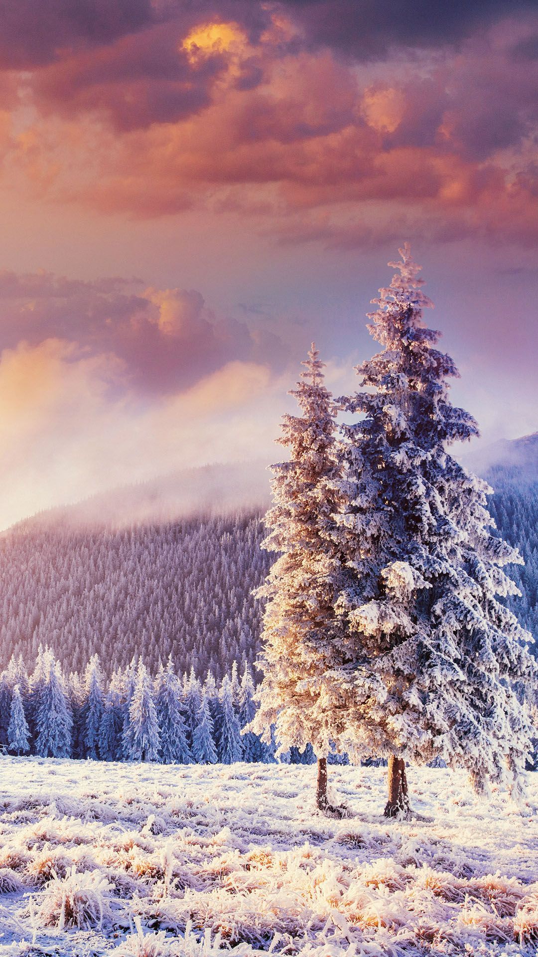 1080x1920 Fabulous winter landscape in the Carpathian mountains, Ukraine. Windows Spotlight Image