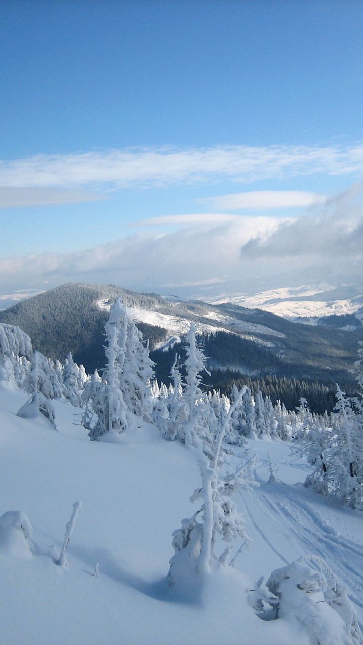 736x1308 Ukraine Winter Wallpaper