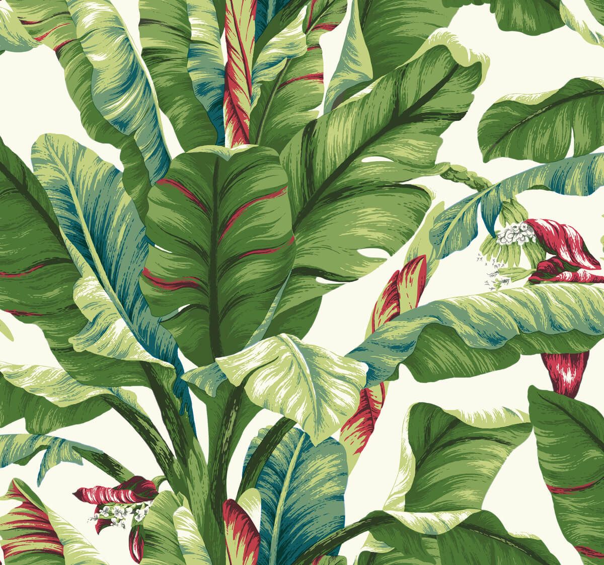 1200x1122 Banana Leaf Wallpaper