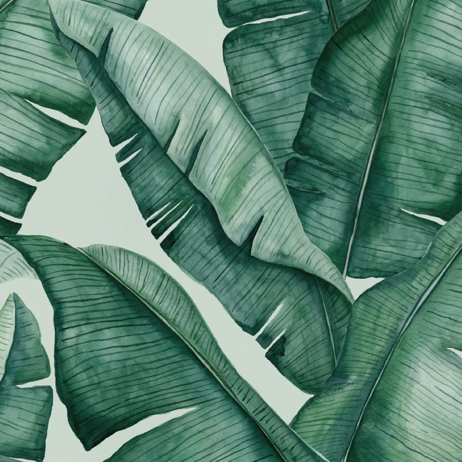 1600x1600 Watercolour Green Tropical Leaves Wallpaper